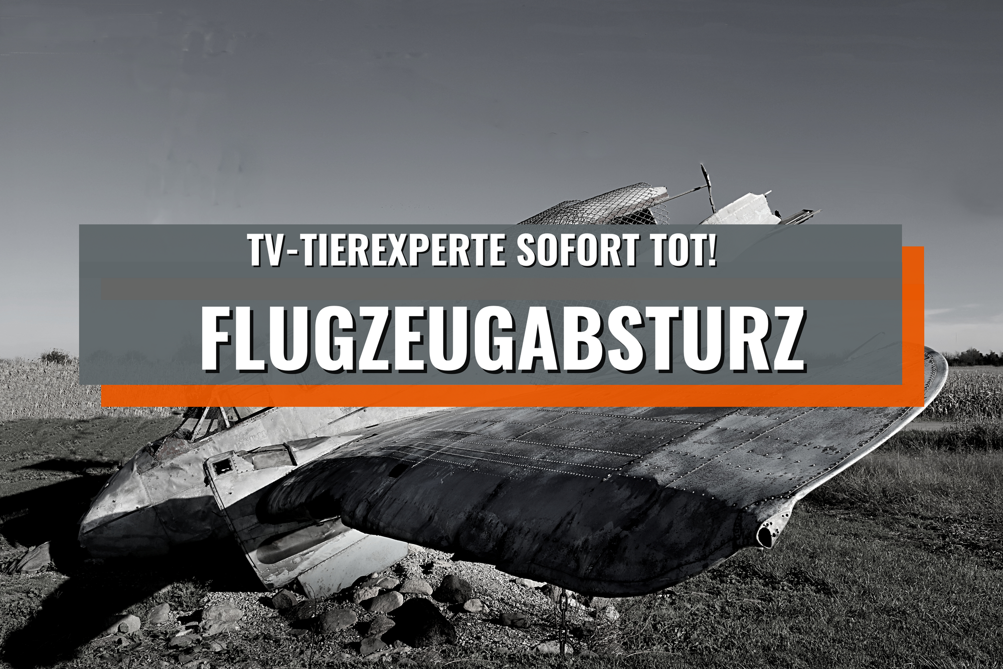 TV-Tierexperte stirbt bei Flugzeug-Absturz – Fans schockiert!