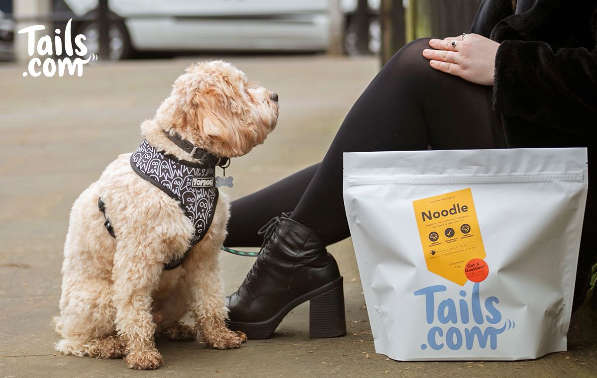 Tails.com: Do’s and Don‘ts bei Online-Hundefutter-Bestellungen