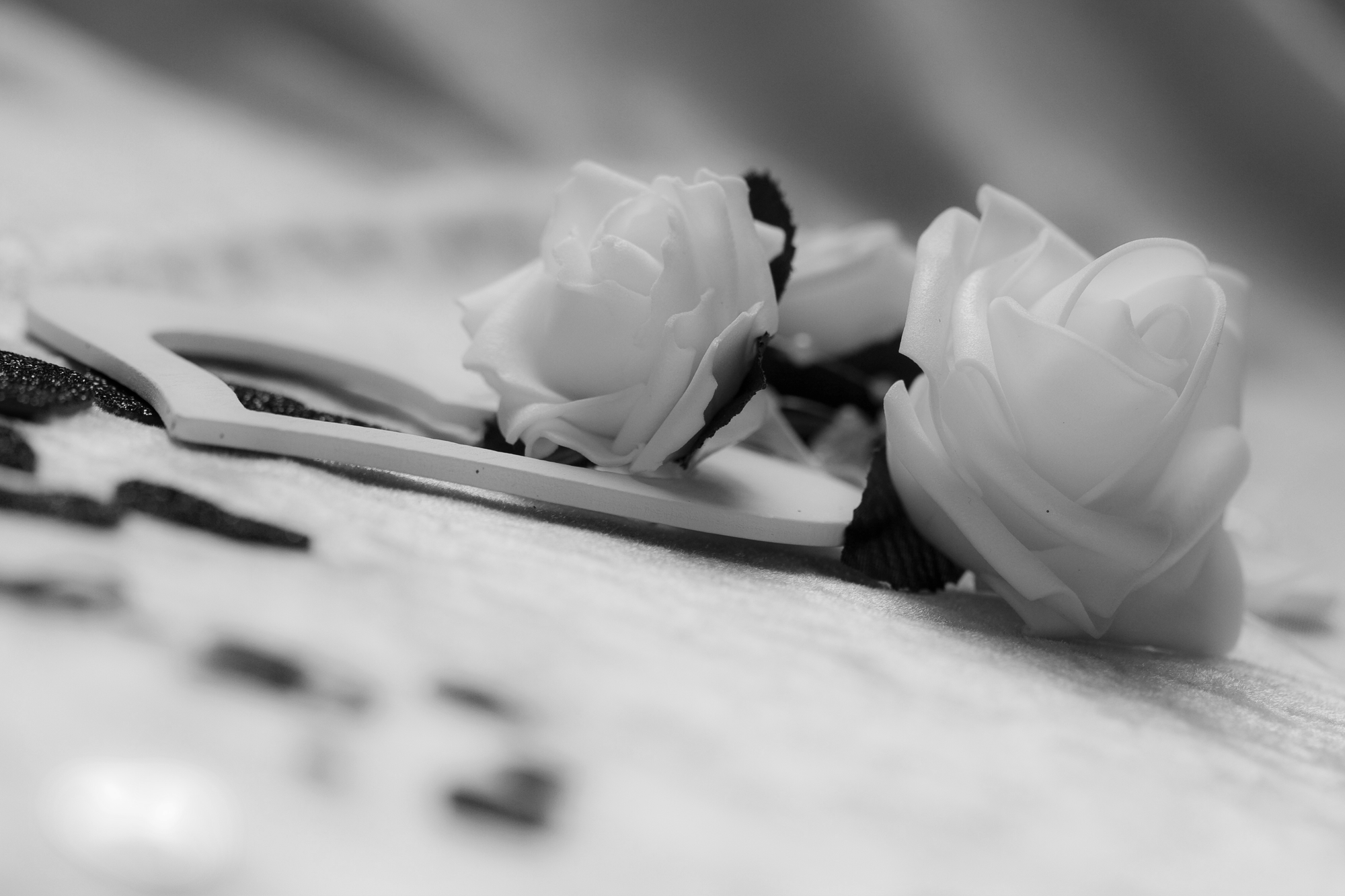 Verteidigungs-Minister tot