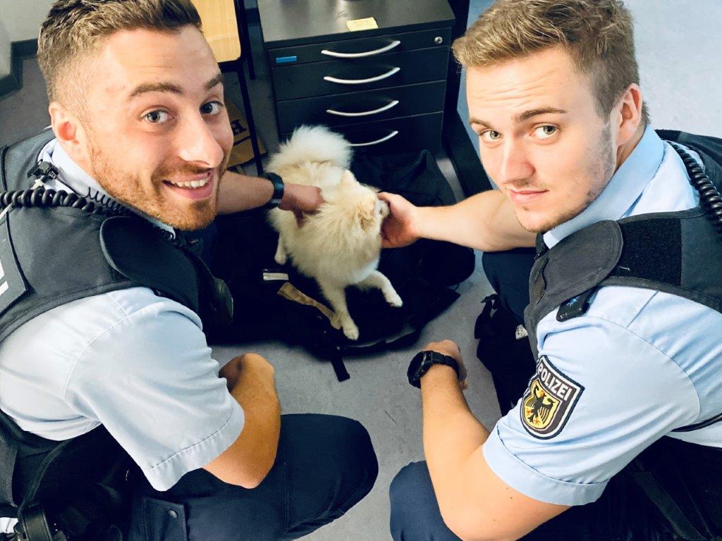 Vierbeiner auf großer Fahrt – Wer kennt diesen niedlichen Hund?