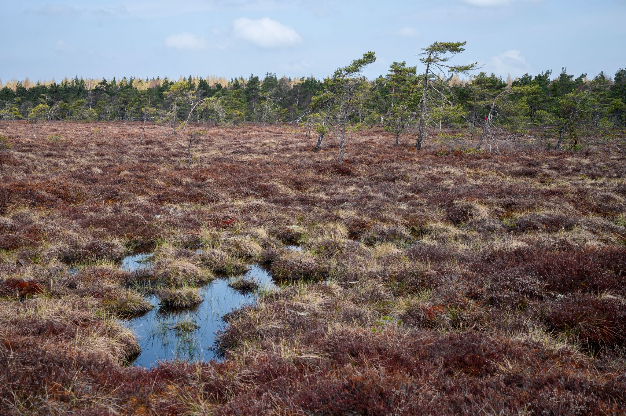 EU-Kommission will Natur vor dem Kollaps retten