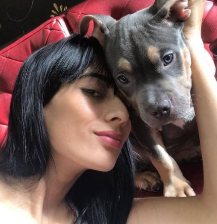 Welpe stirbt während des Fluges