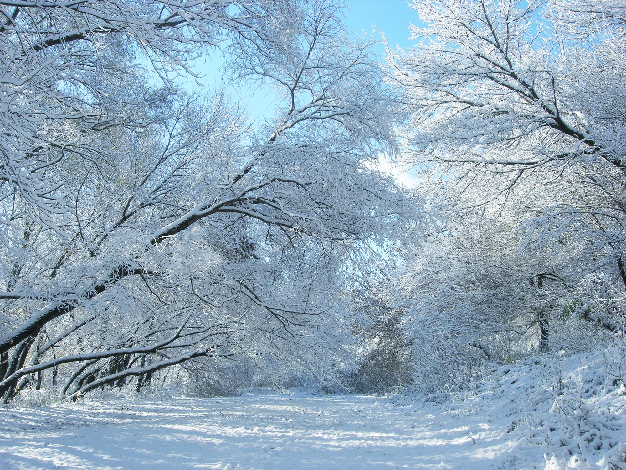 Wetter-Hammer: Schnee-Warnung für Deutschland