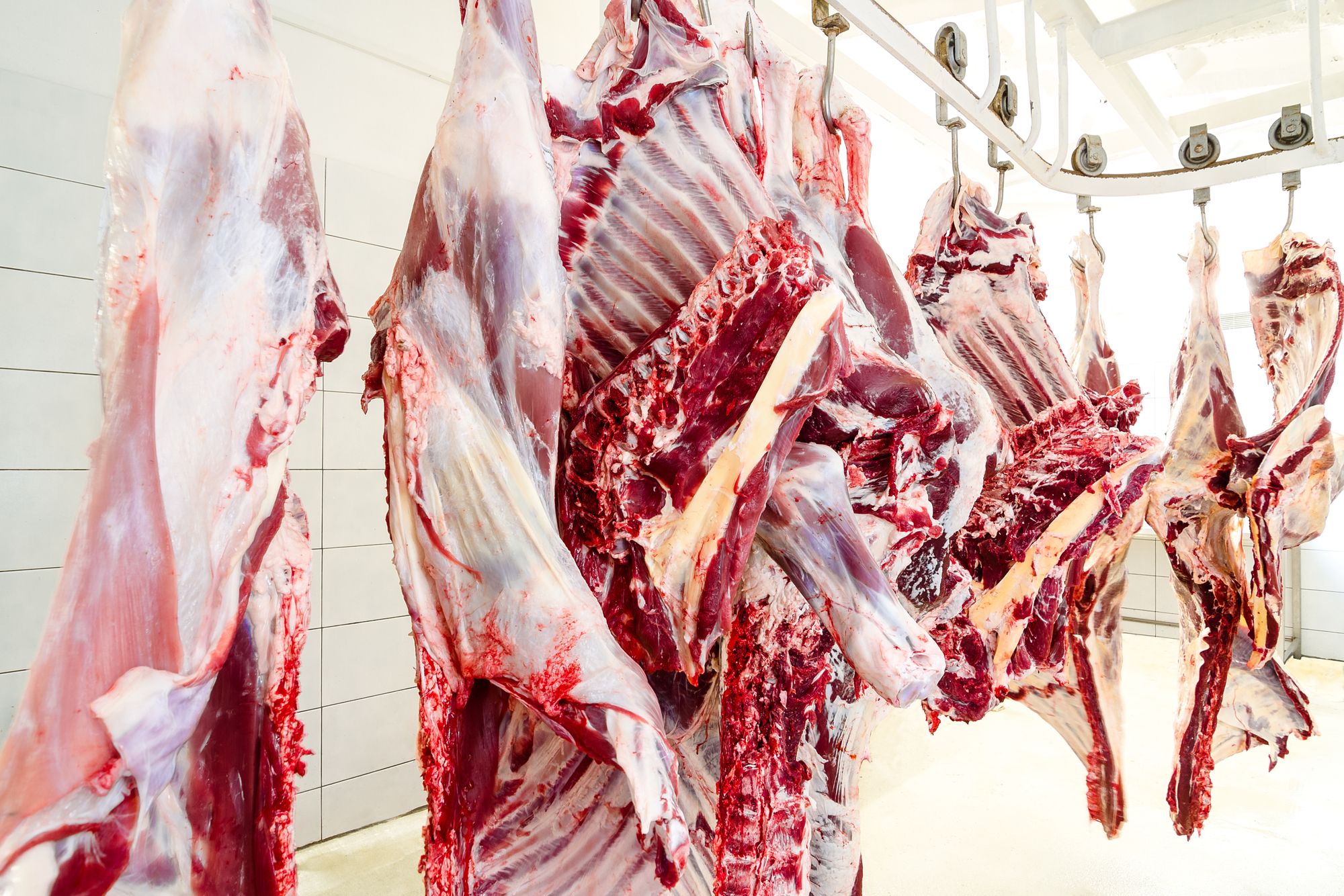 Wieder hunderte Corona-Infektionen in Tönnies-Fleischfabrik!