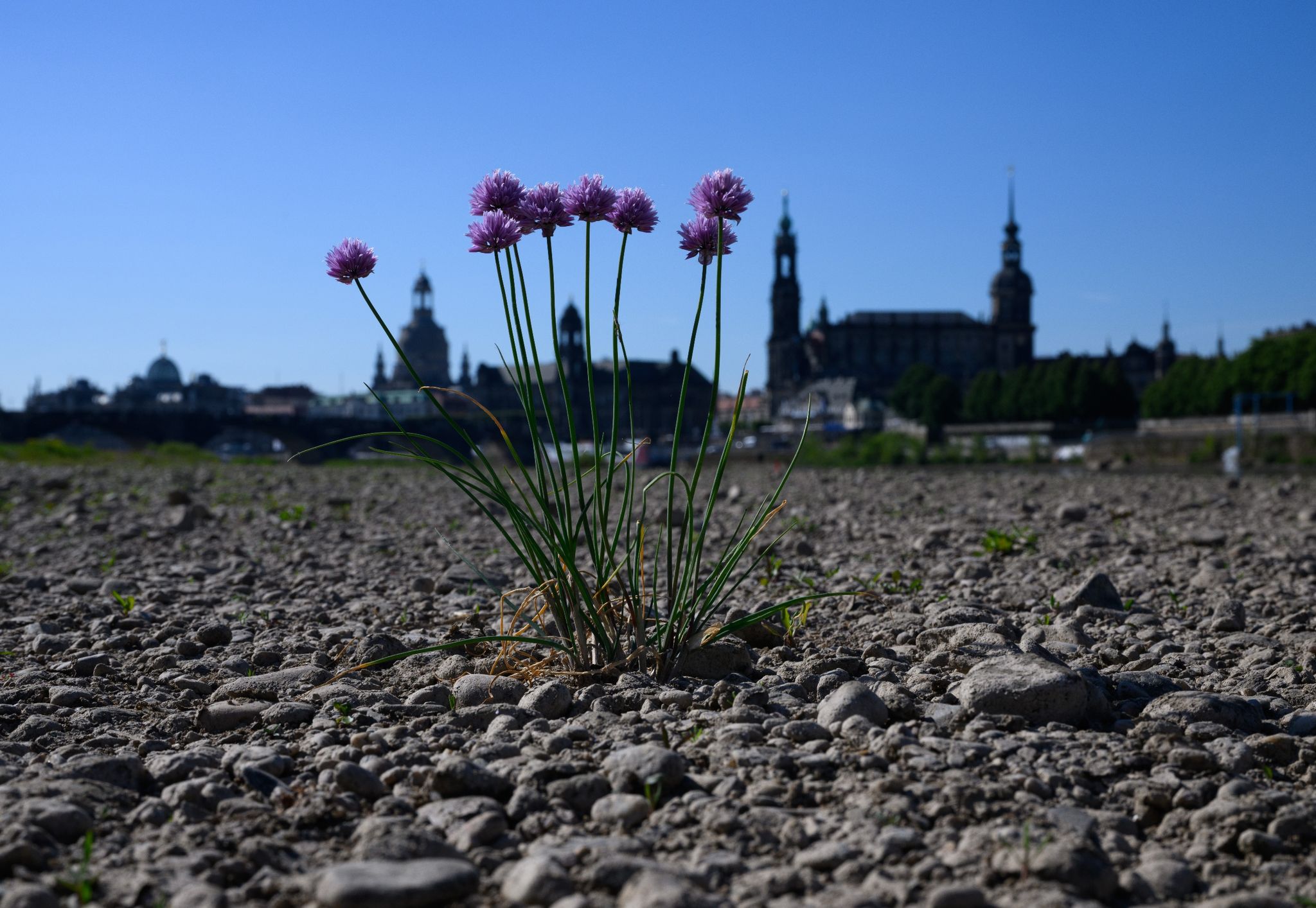 Juni war zu trocken und zu warm