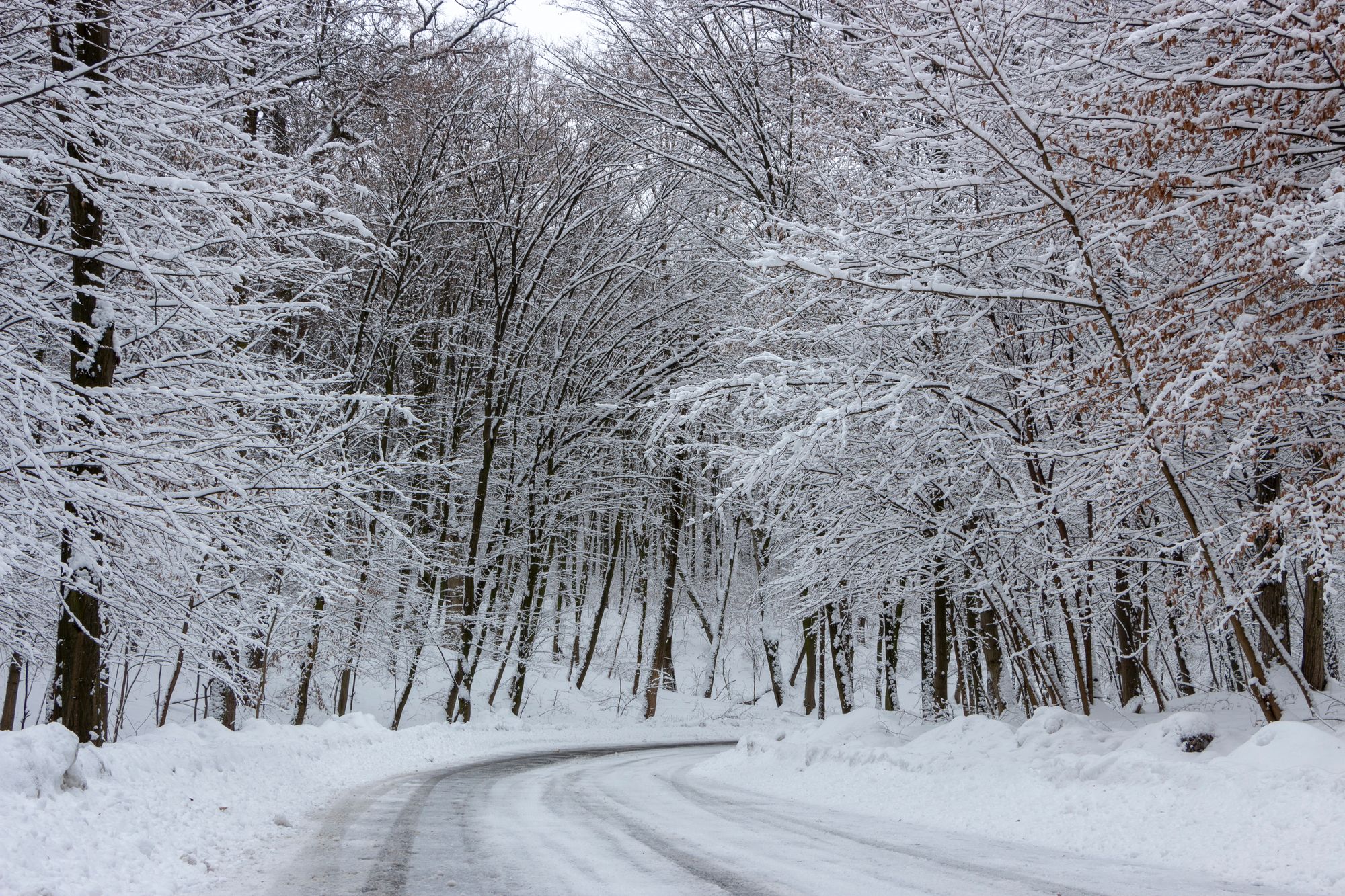 Winter-Hammer: 20cm Neuschnee!