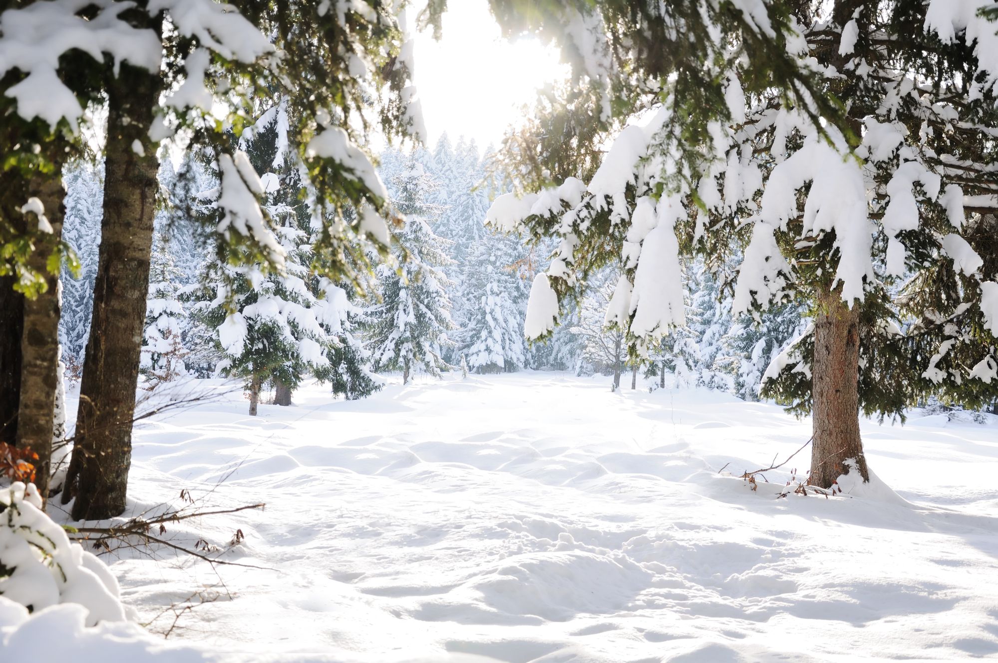 Winter-Hammer: Temperatursturz – Schnee und Glätte!