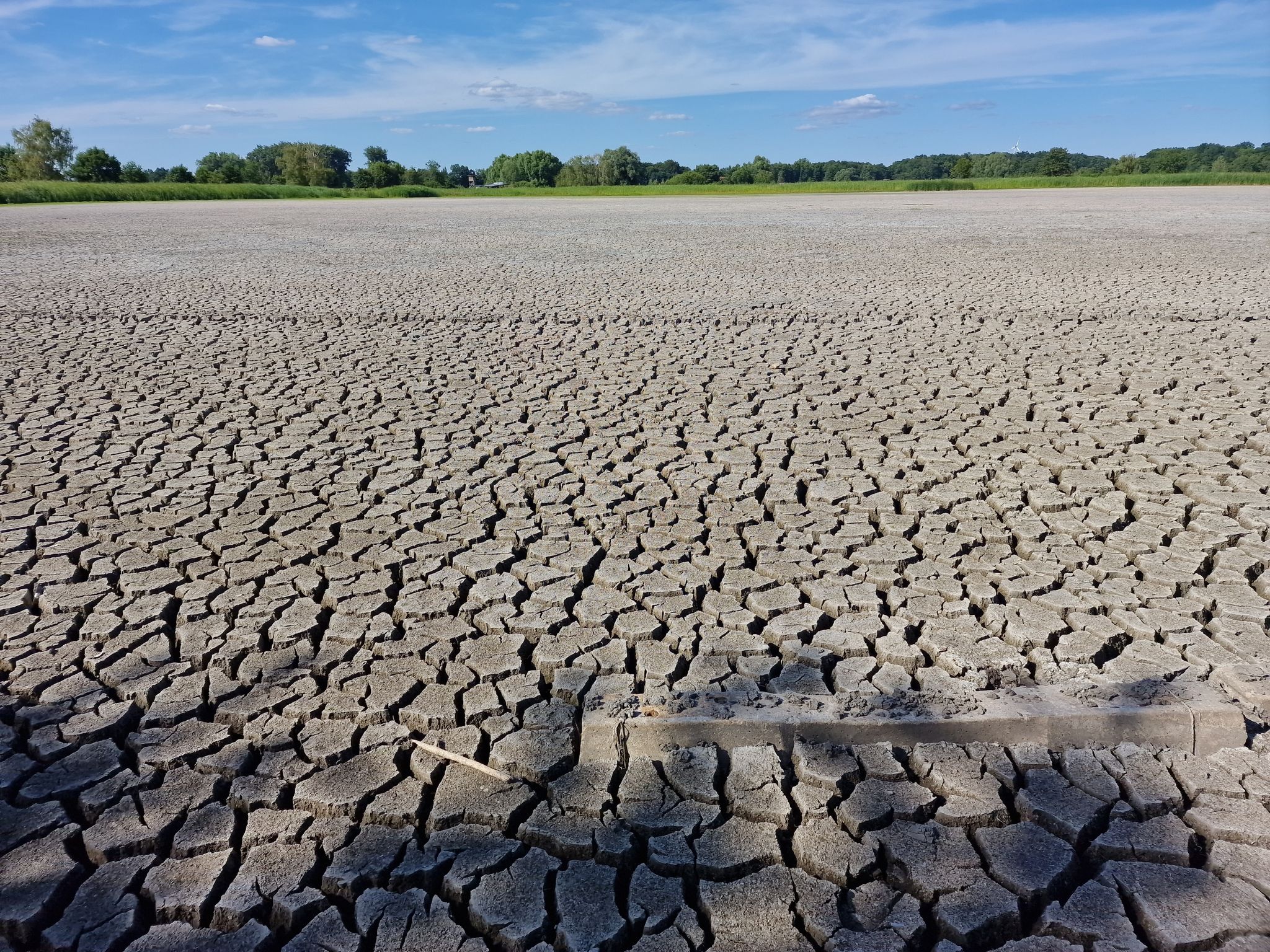 Temperaturen im Juli 2,3 Grad zu hoch