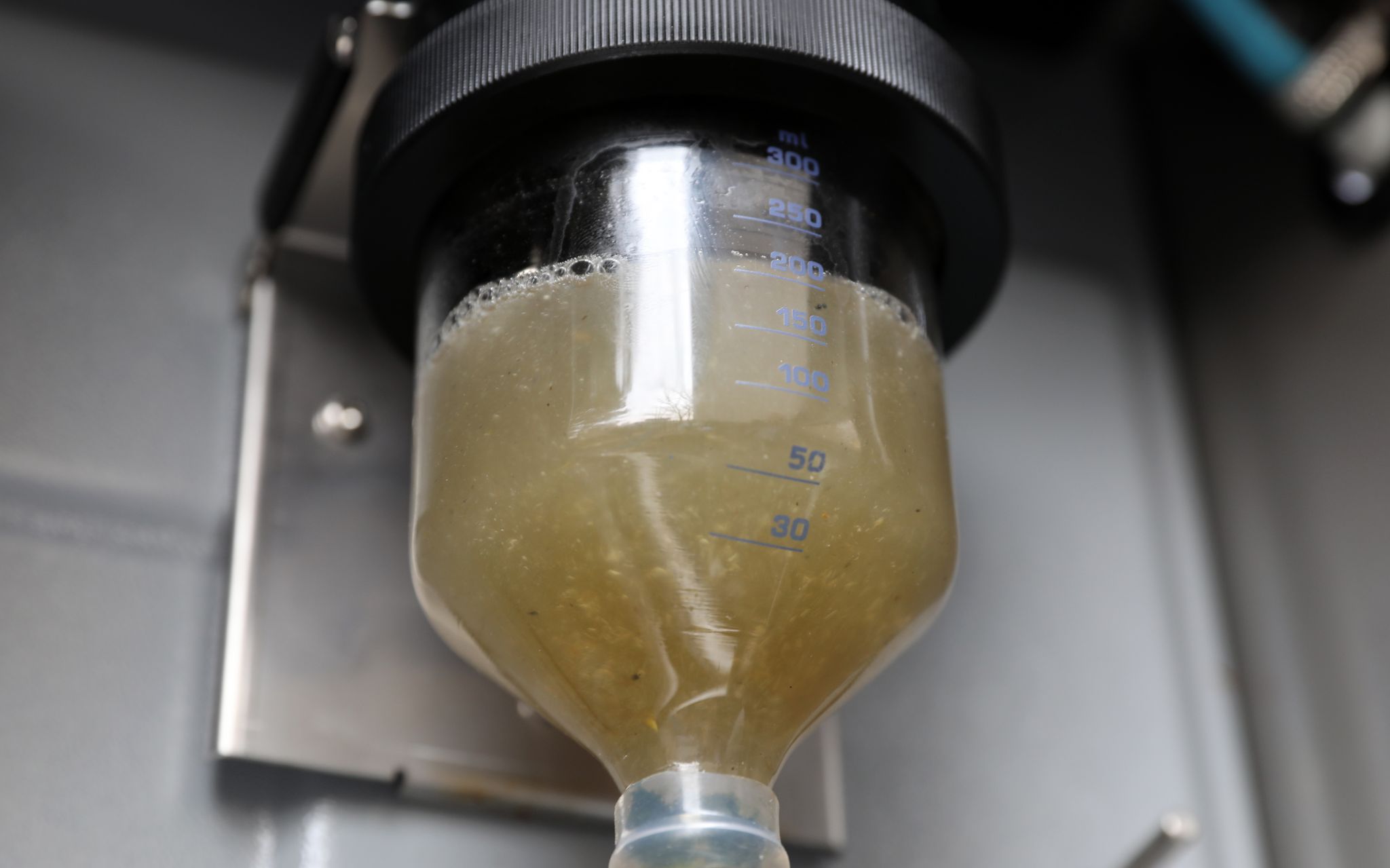 Wie man Corona im Abwasser aufspürt