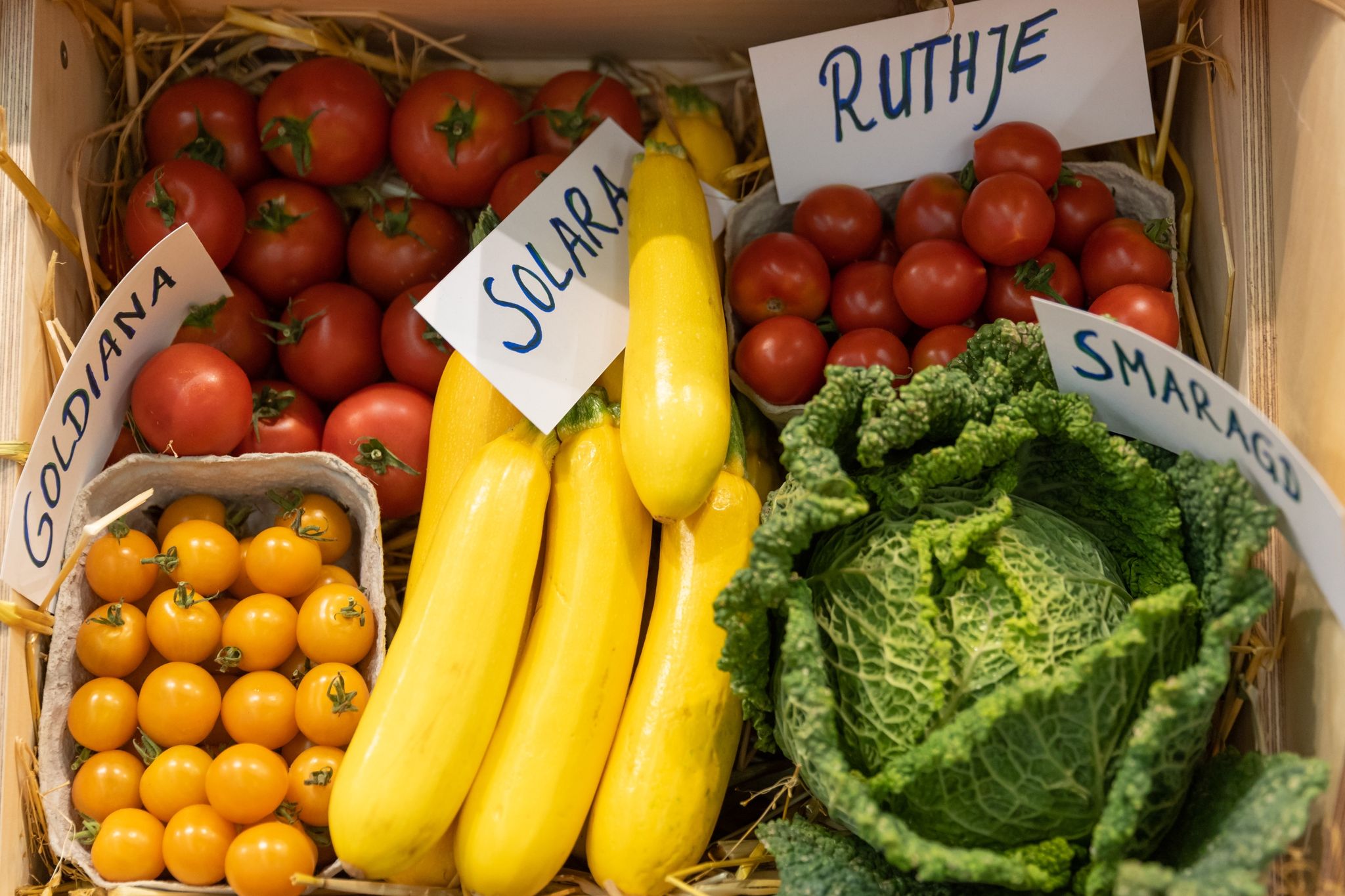 Bio als Antwort auf die Krisen – Messe Biofach eröffnet