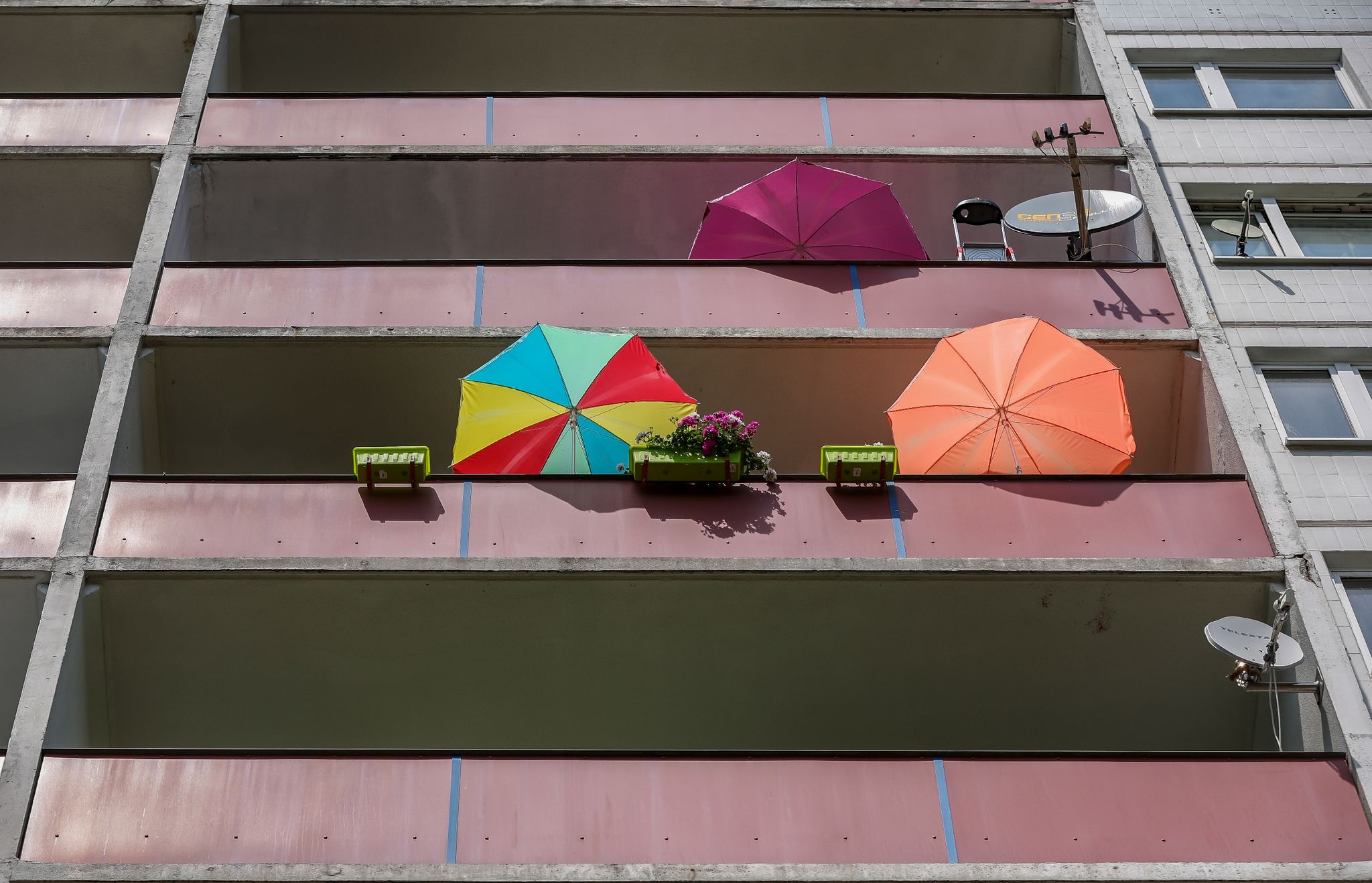 Mehrere Bundesländer mit Hitzerekord – Höchstwert 40,1 Grad