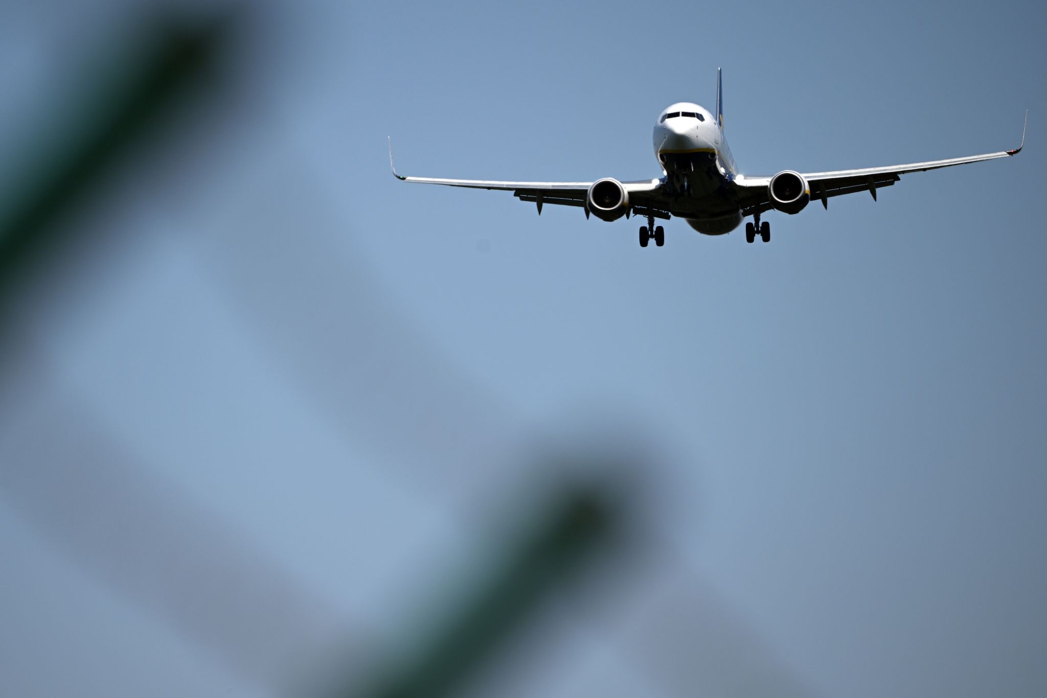 Ryanair-Chef will Lockerung der Brexit-Einwanderungsregeln