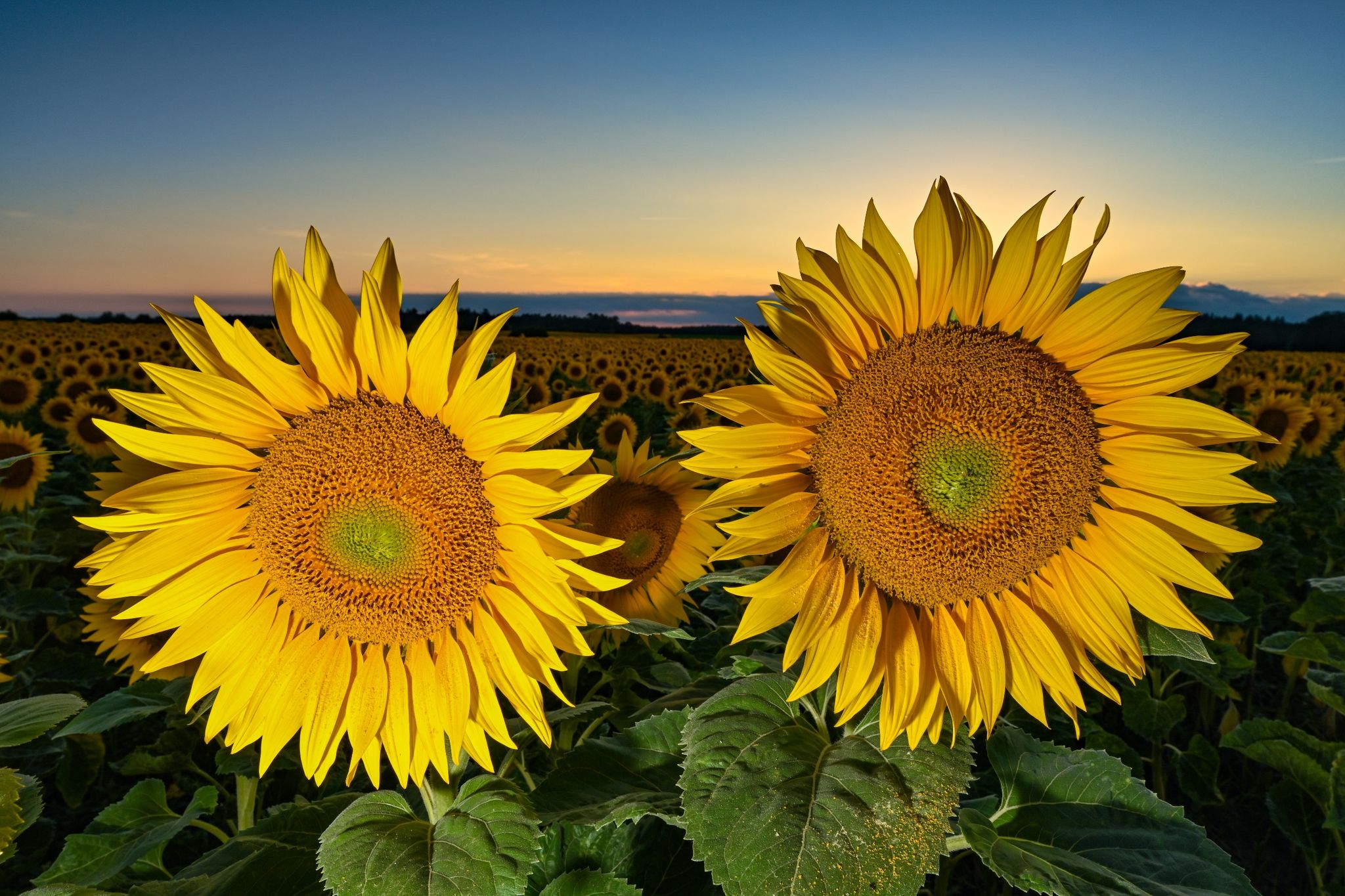 Hochsommerliches Wetter in weiten Teilen Deutschlands