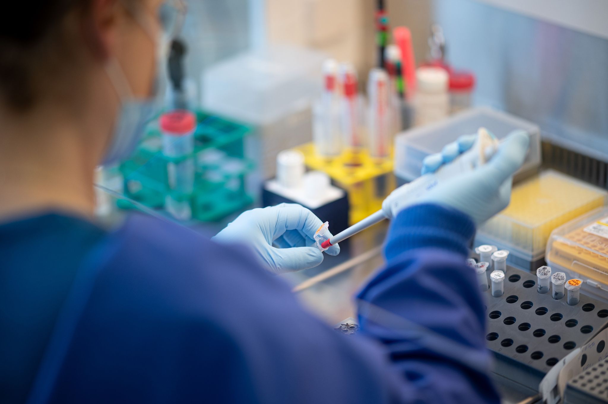 Sieben-Tage-Inzidenz steigt auf 744,2