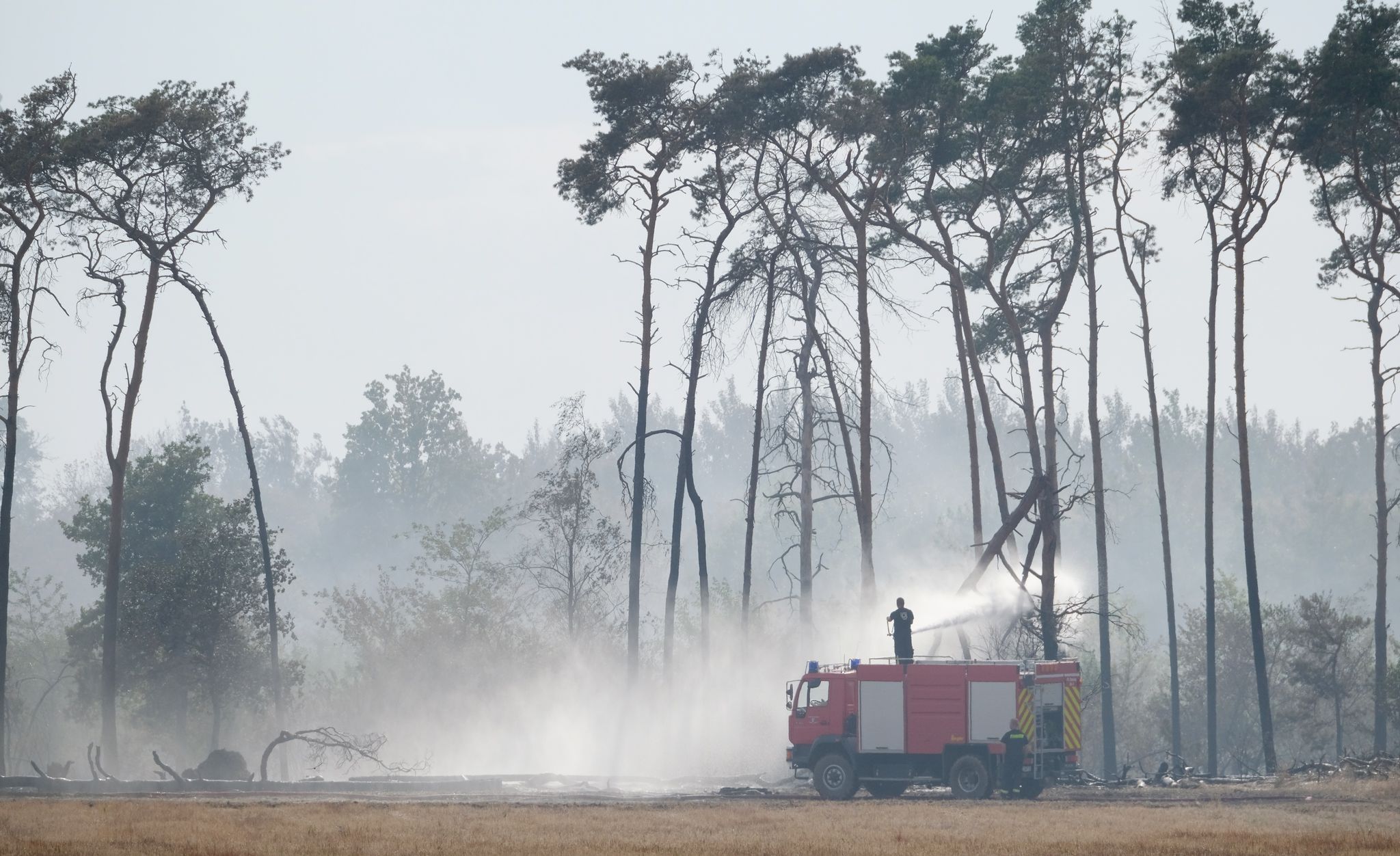 Entspannung in Waldbrandgebieten – Gefahr nicht gebannt