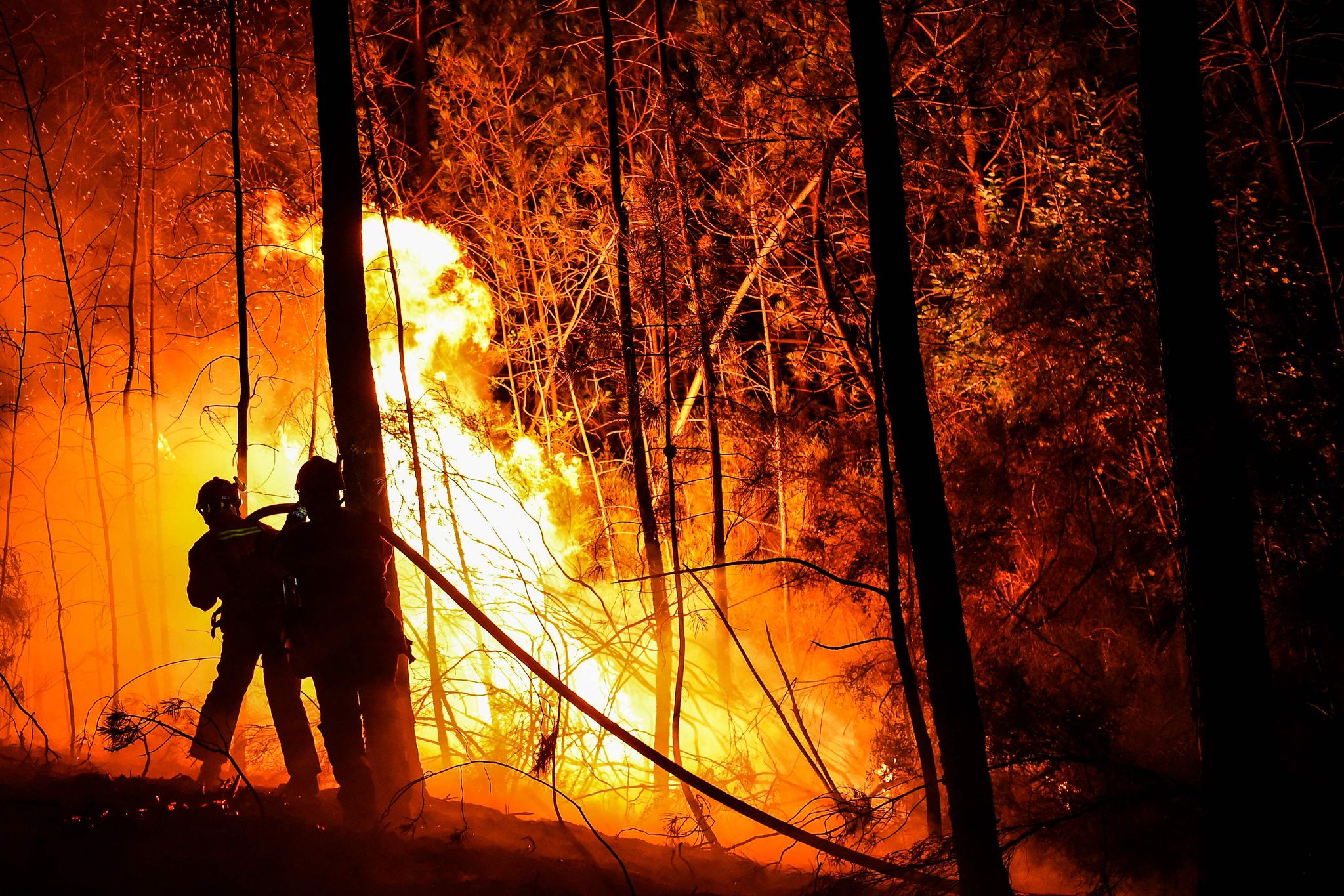 Frankreich: Feuerwehr kämpft gegen ausufernde Waldbrände