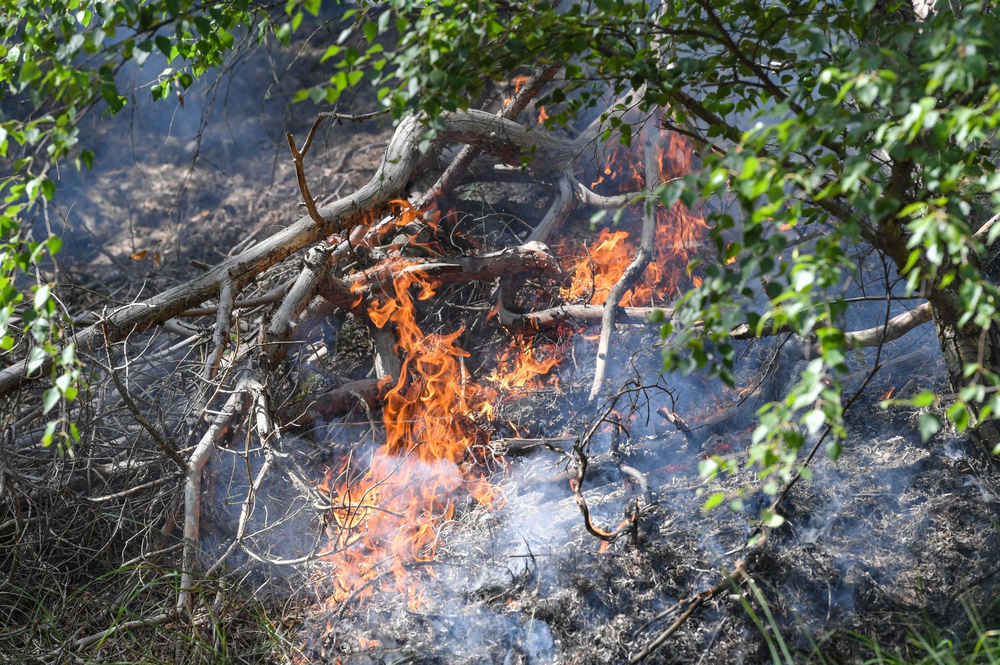 Waldbrand in Lieberoser Heide ausgebrochen