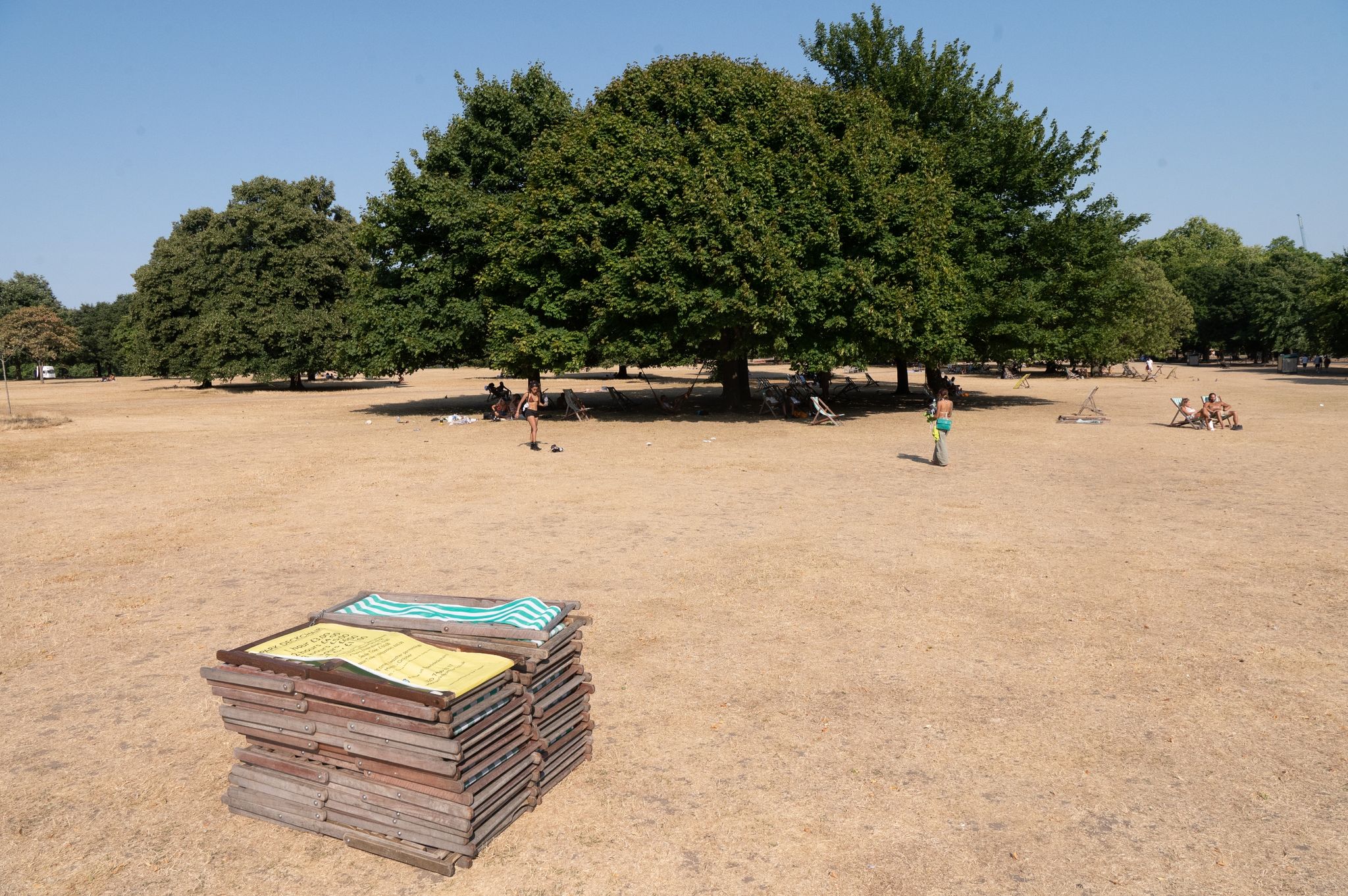 Hitzewellen in Großbritannien werden immer wahrscheinlicher