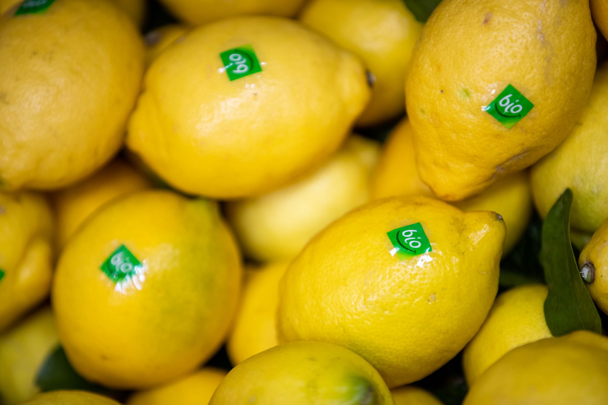 Bio weiterhin gefragt – im Discounter und Supermarkt