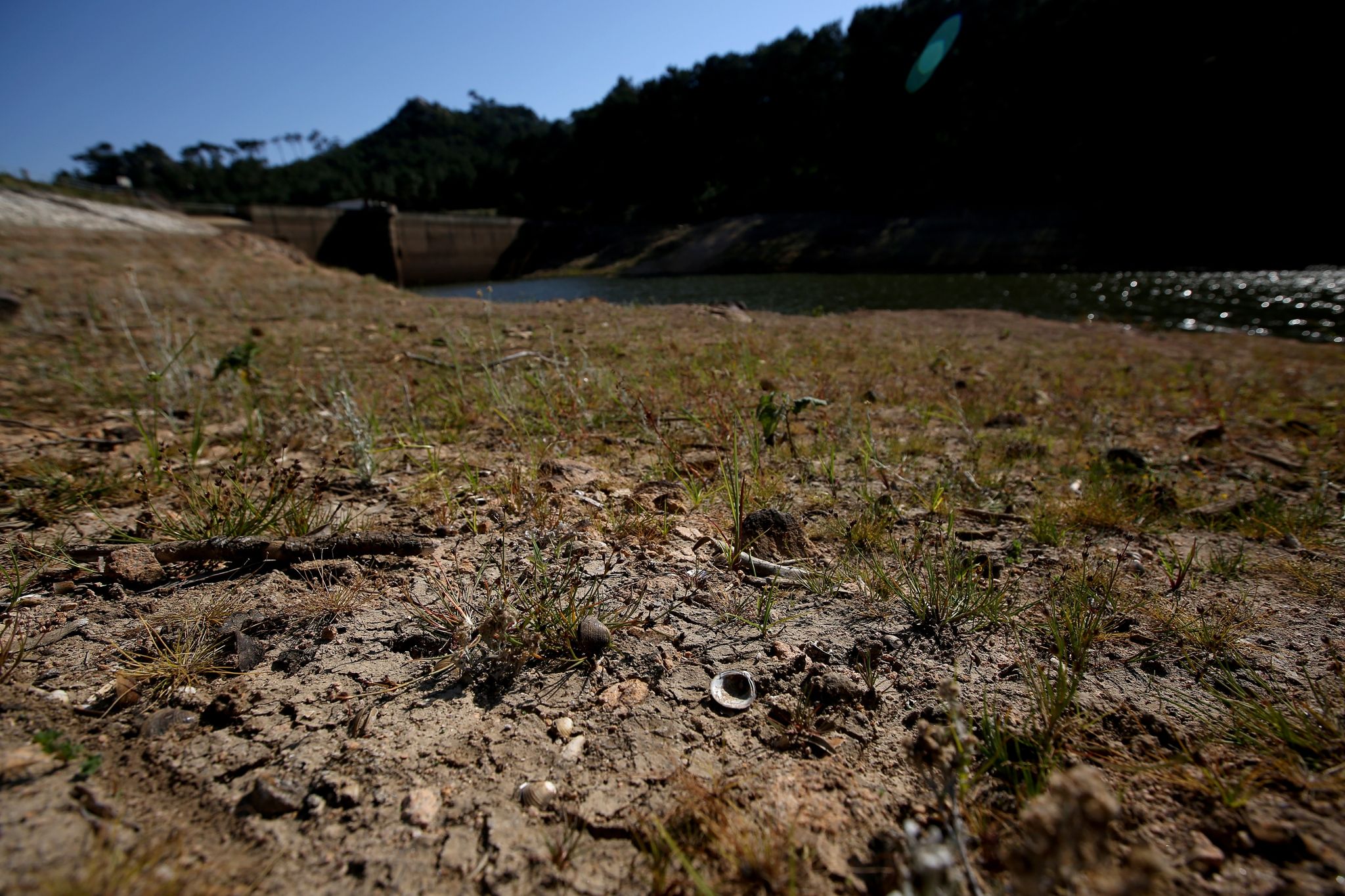 Hitze und Trockenheit plagen Südeuropa – Hohe Brandgefahr