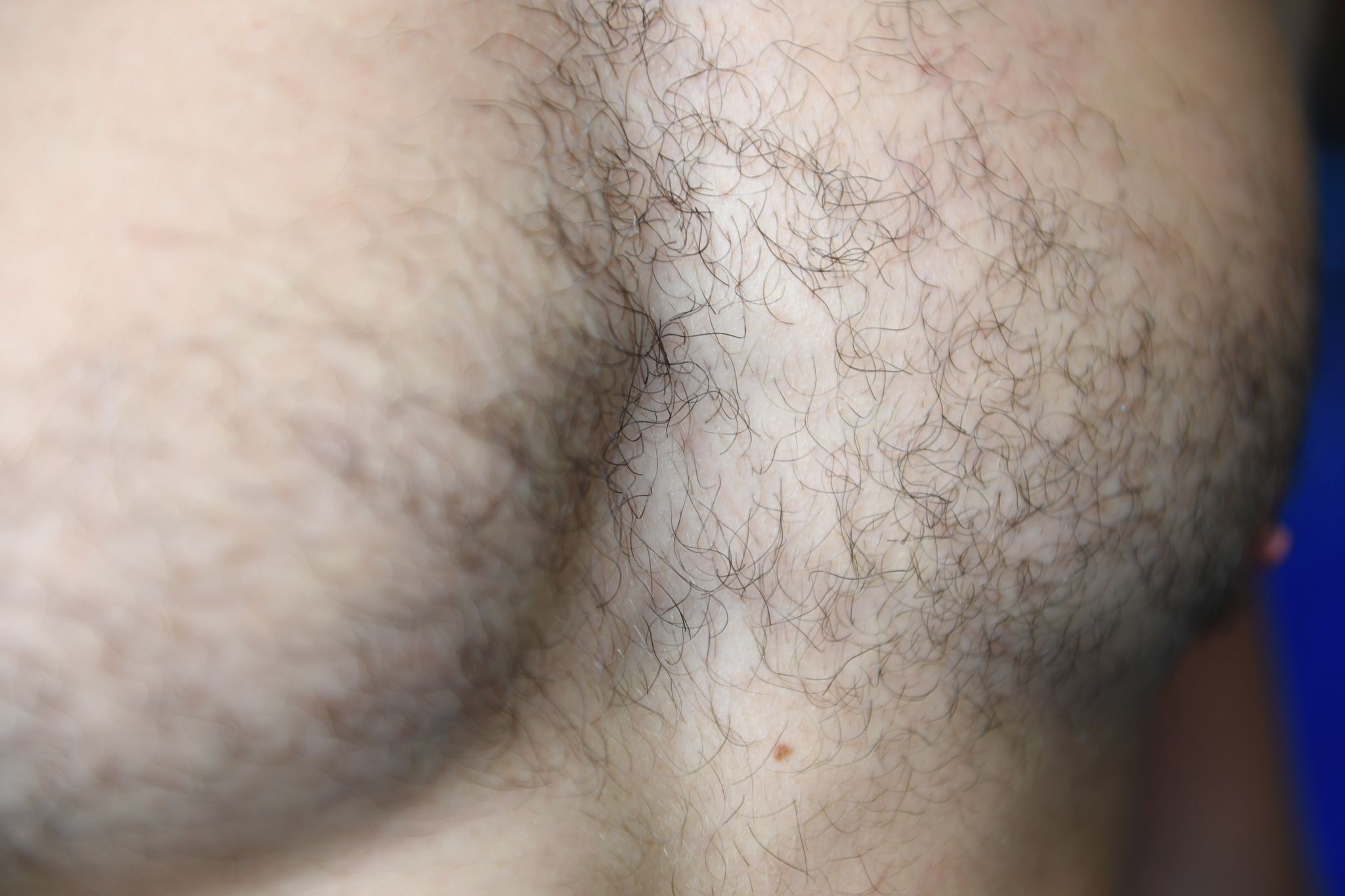 Männer zum Kraulen: Gibt es ein Comeback der Brustbehaarung?