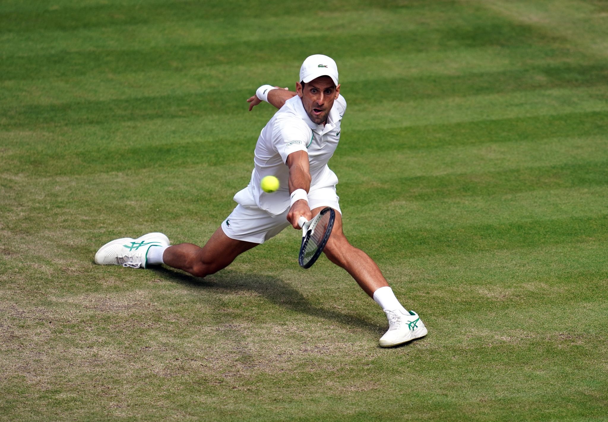 Djokovic zum siebten Mal Wimbledon-«Gott»