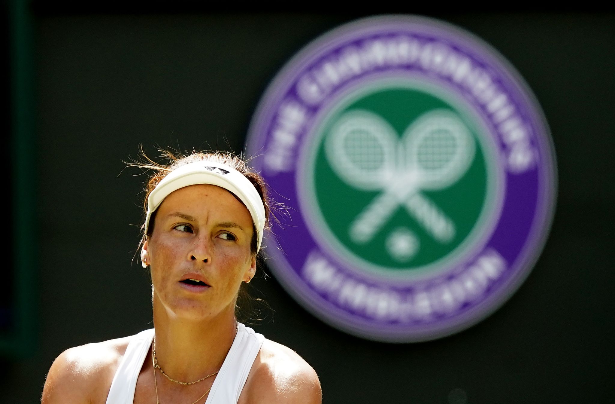 Favoritenrolle bis TV: Alles zum Wimbledon-Viertelfinale