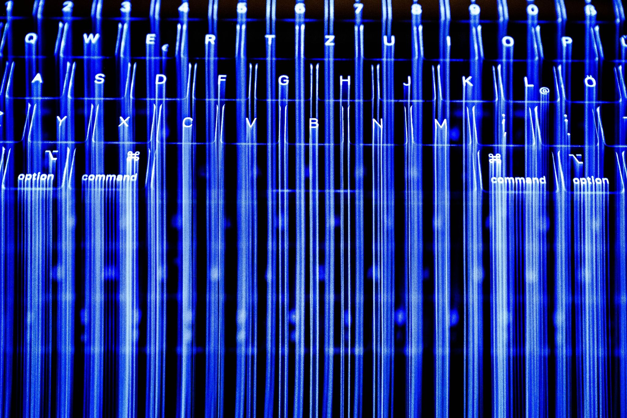 Bitkom: IT-Fachkräfte aus Russland für Deutschland