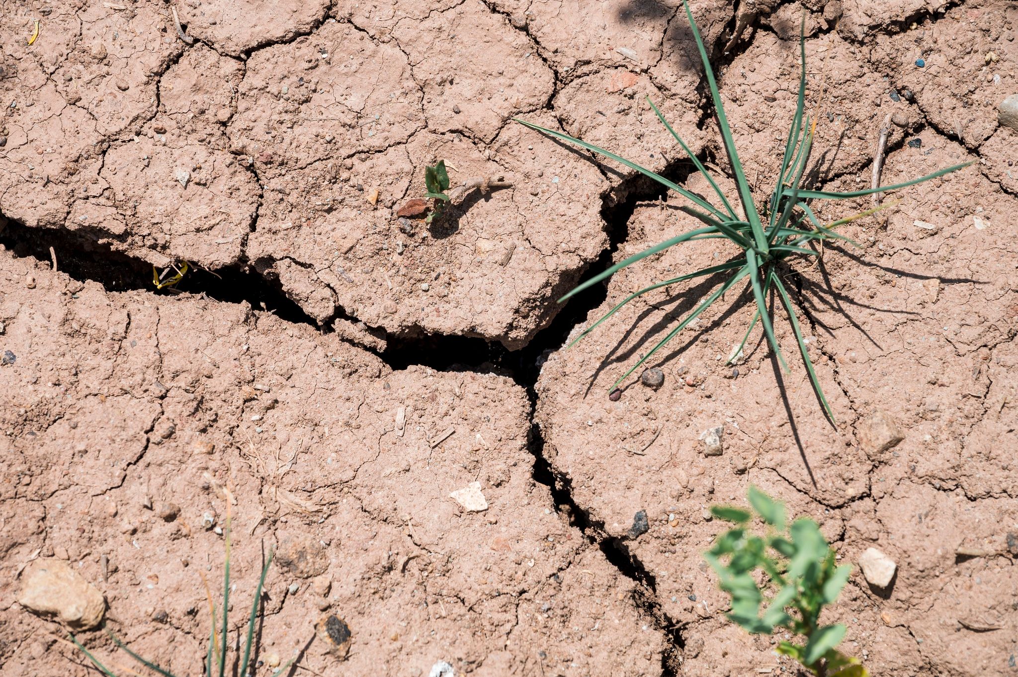 Wetterdienst geht von trockeneren Sommern aus