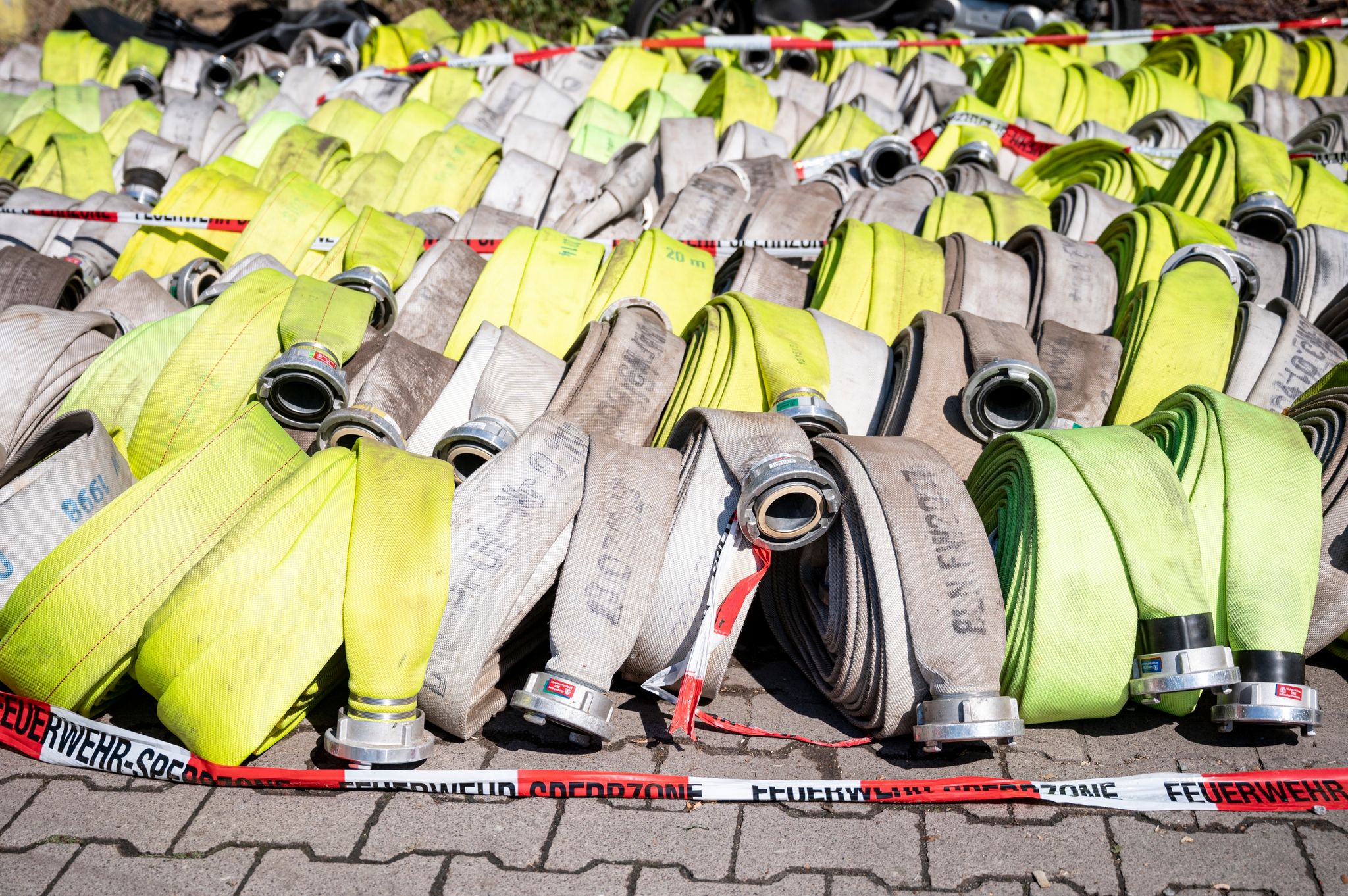 Forstamt zu Brand im Grunewald: «Wald kann damit umgehen»