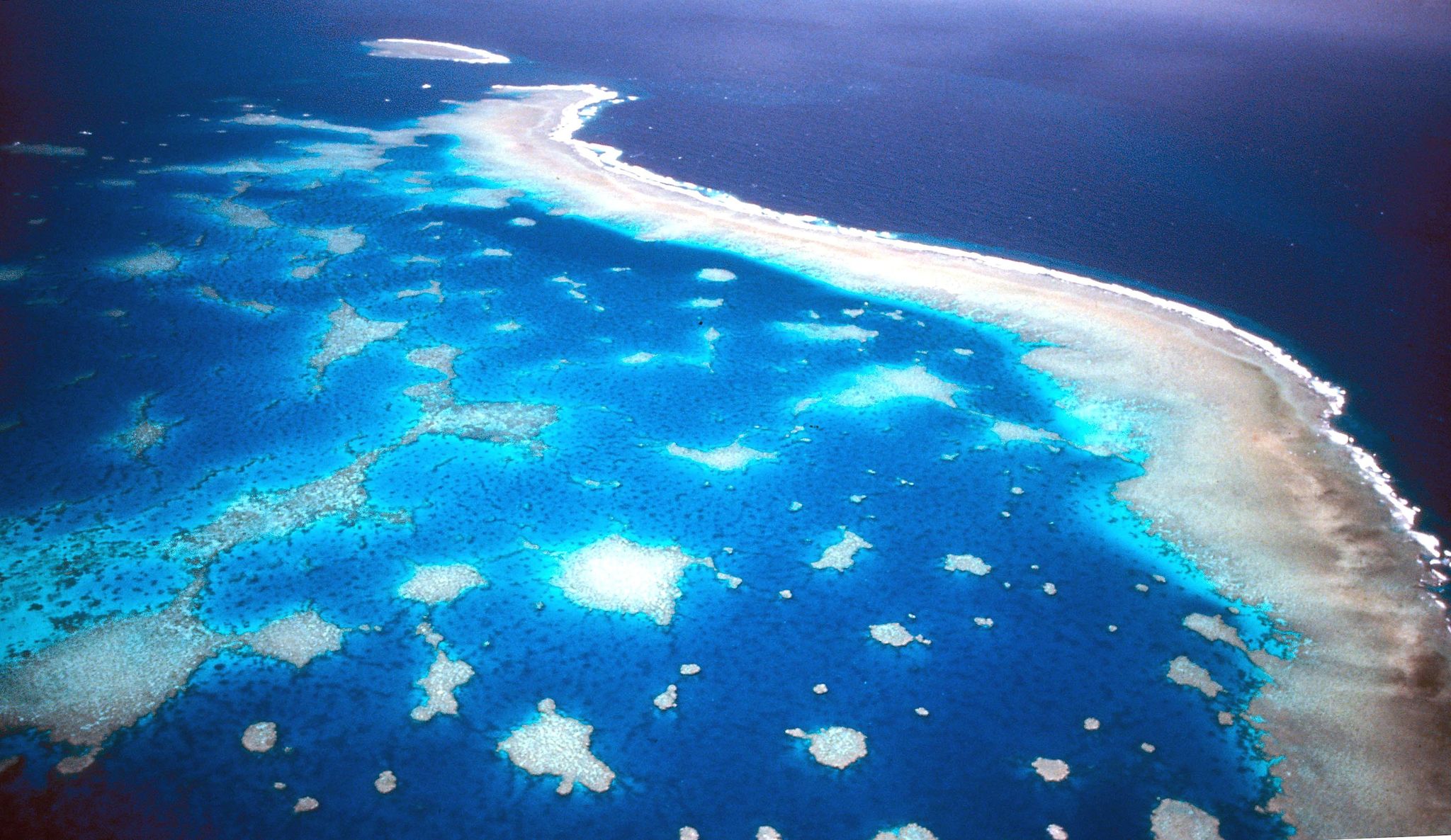 Great Barrier Reef: Korallen erholen sich – keine Entwarnung
