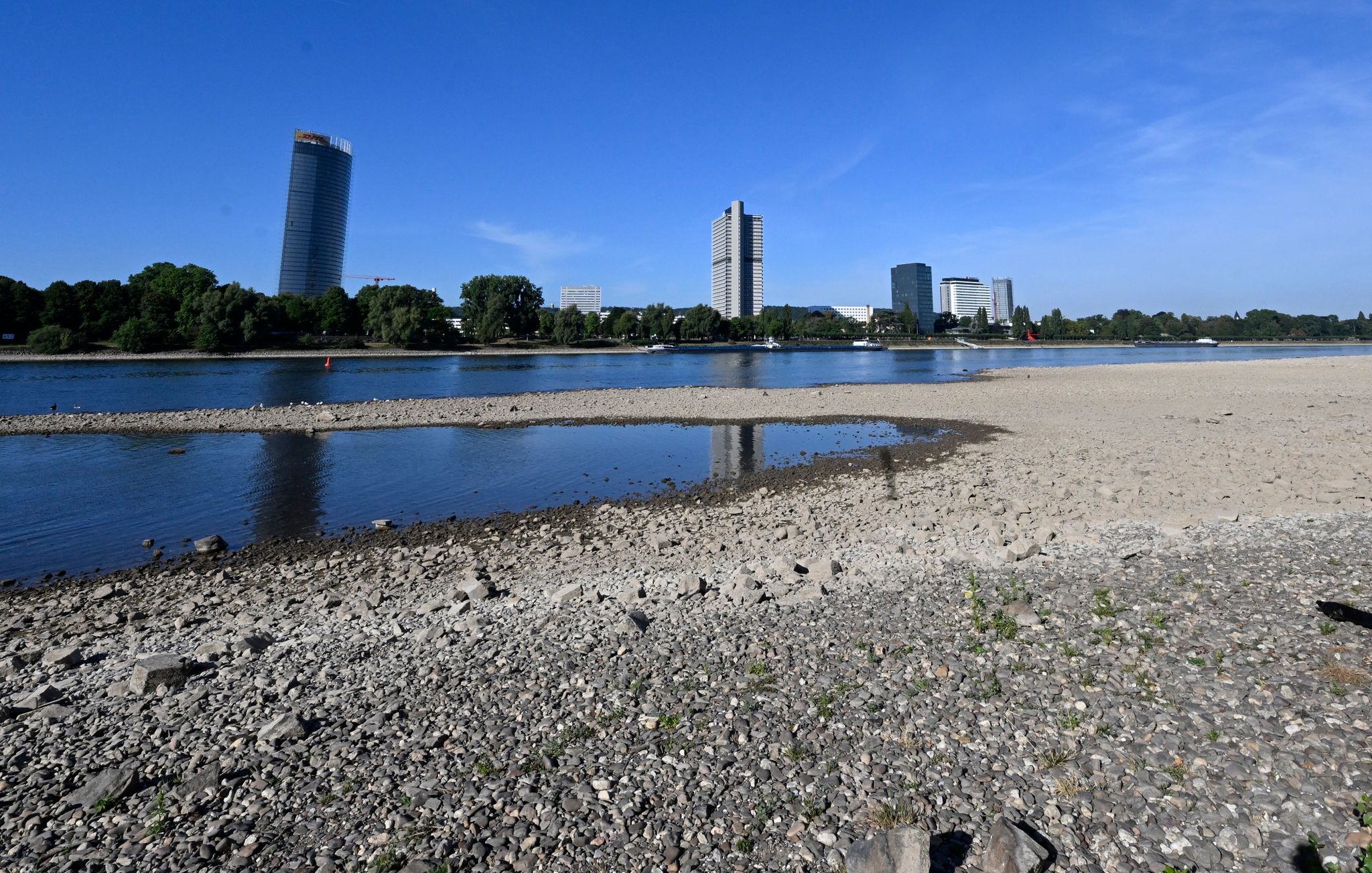 Niedrigwasser in Flüssen kann Tiere das Leben kosten