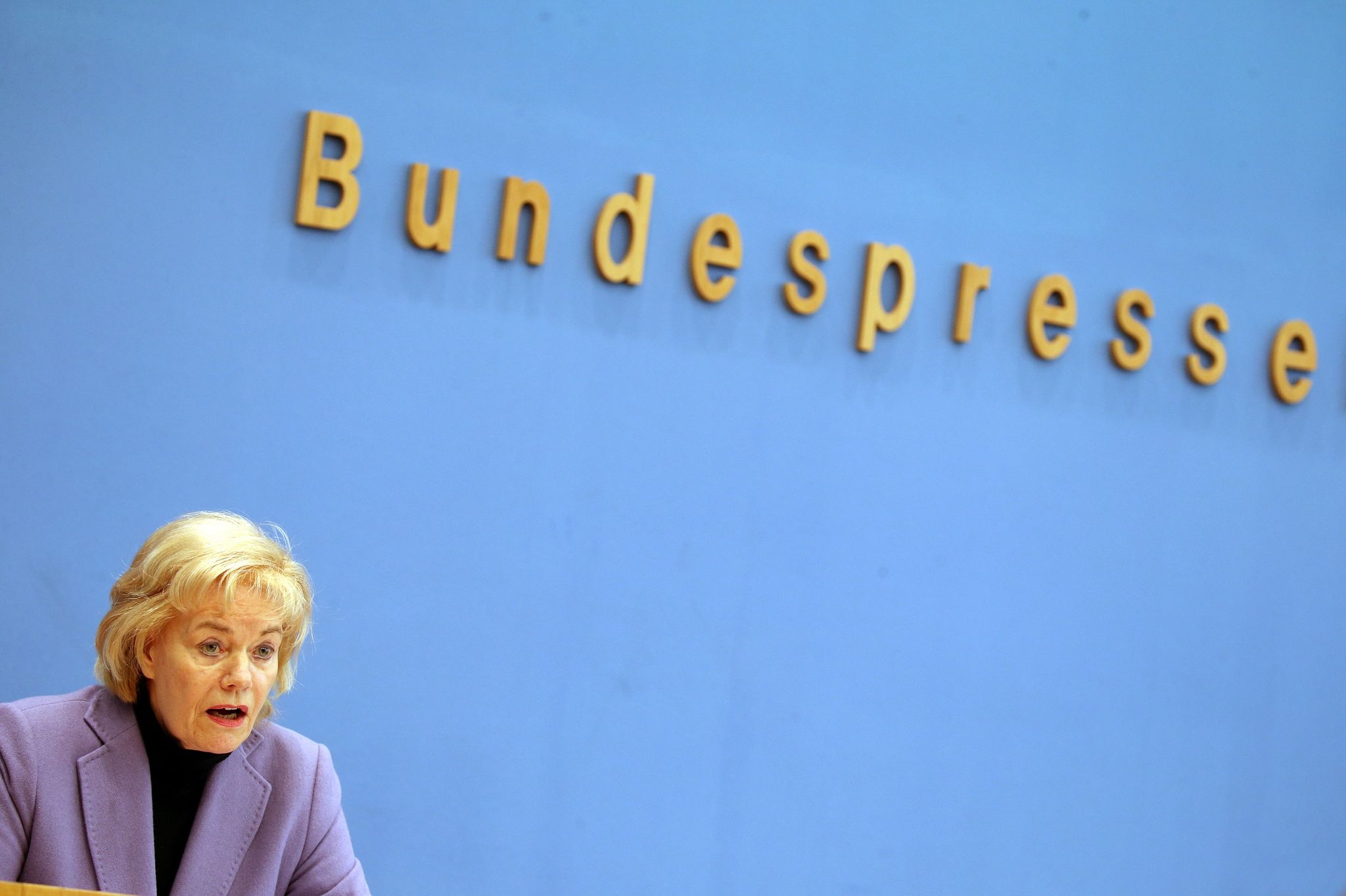 Karlsruhe prüft Förderung von AfD-naher Stiftung im Oktober