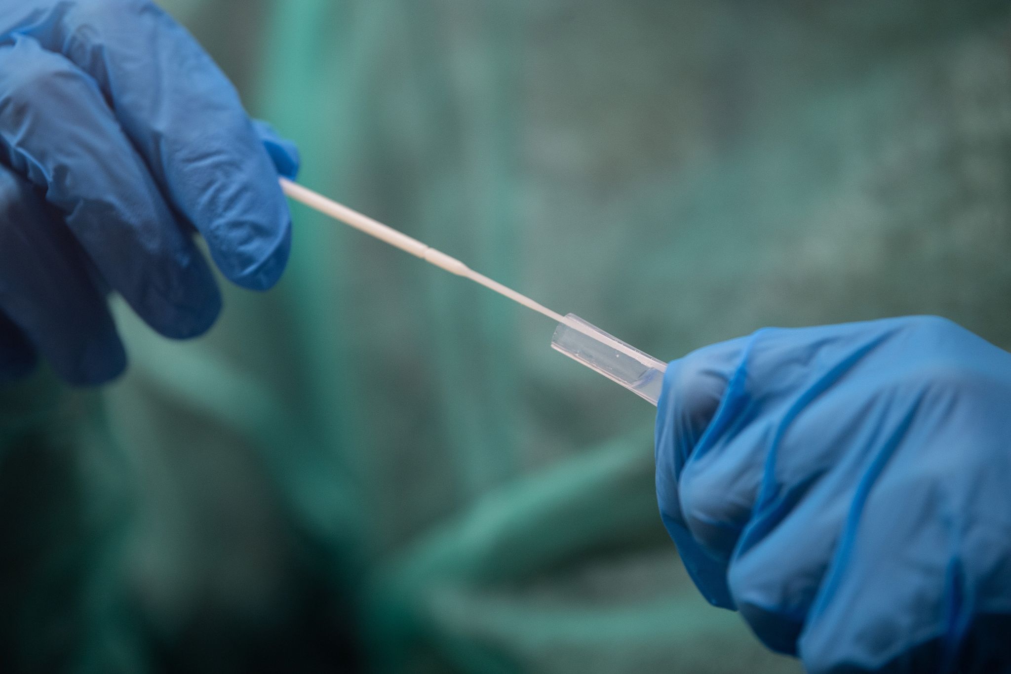 RKI registriert 49.303 Corona-Neuinfektionen