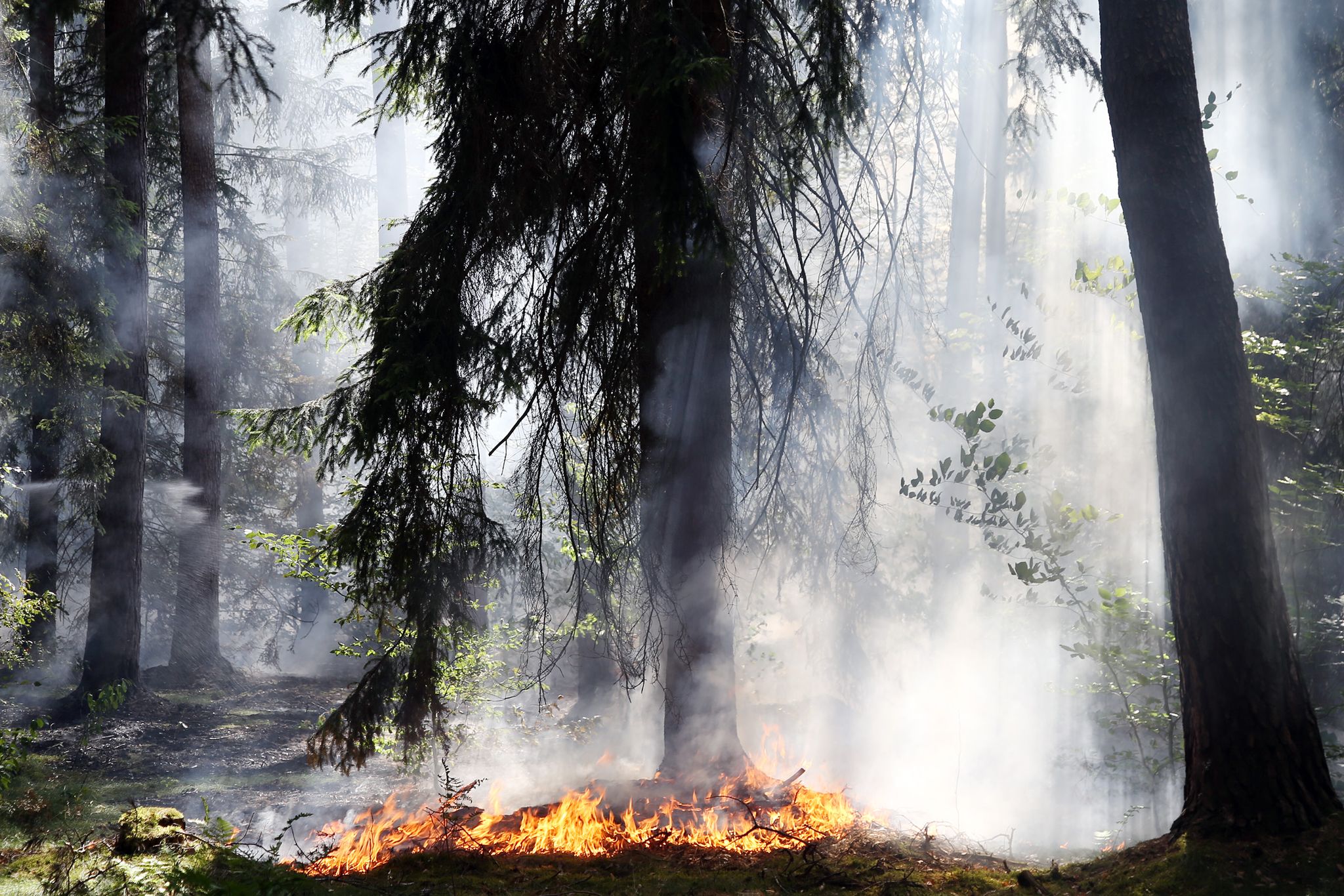Feuerwehrverband fordert geländegängige Fahrzeuge