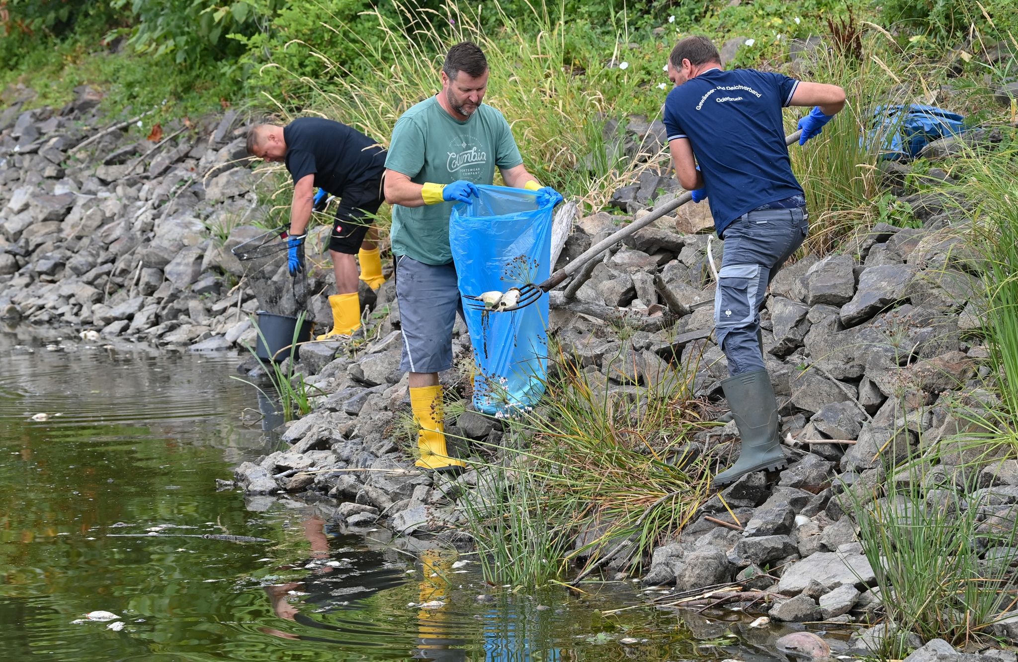 Fischsterben in der Oder: Lemke setzt auf Zusammenarbeit