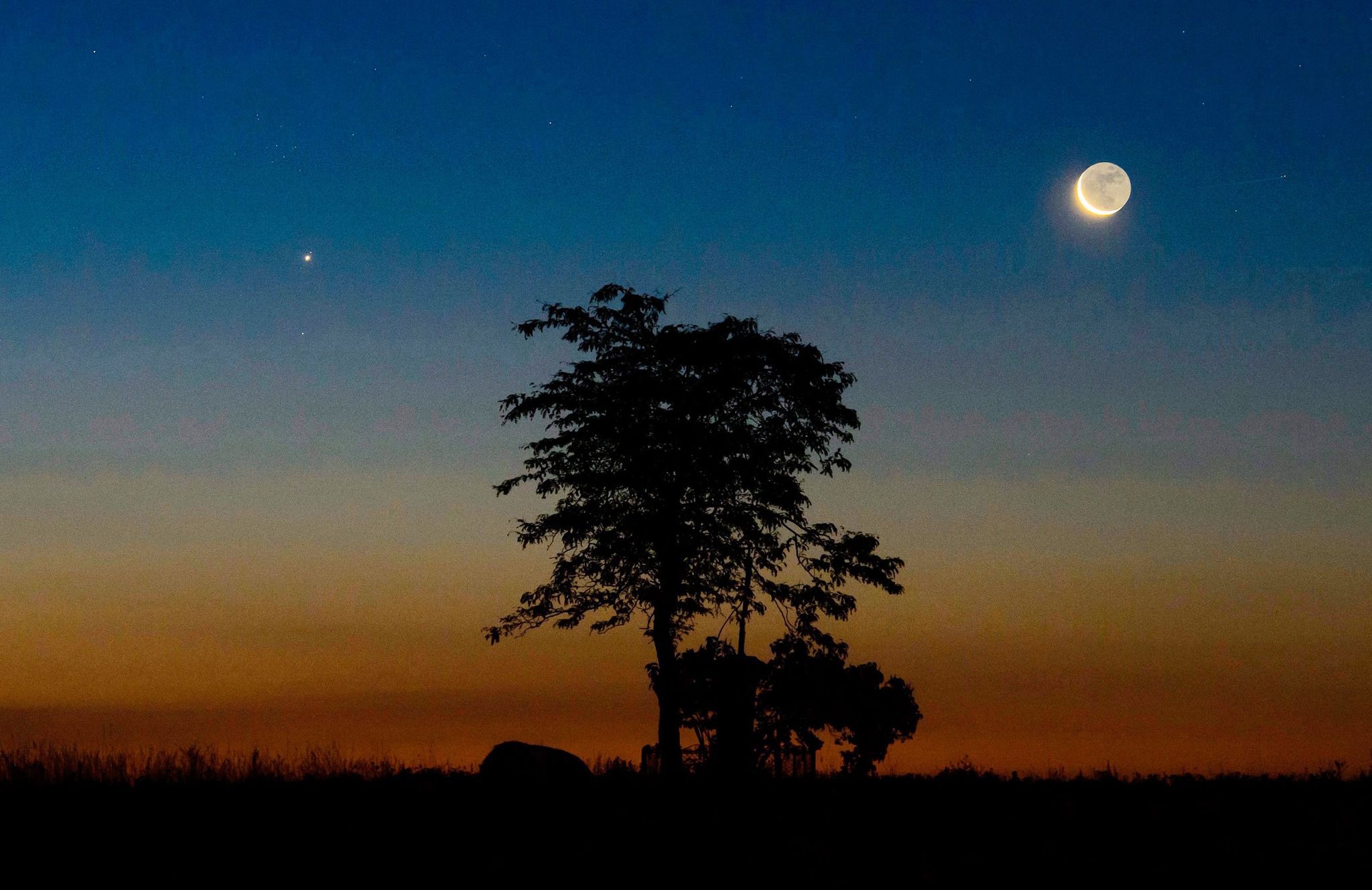 Sonne, Mond und Sterne – Jupiter in Opposition zur Sonne