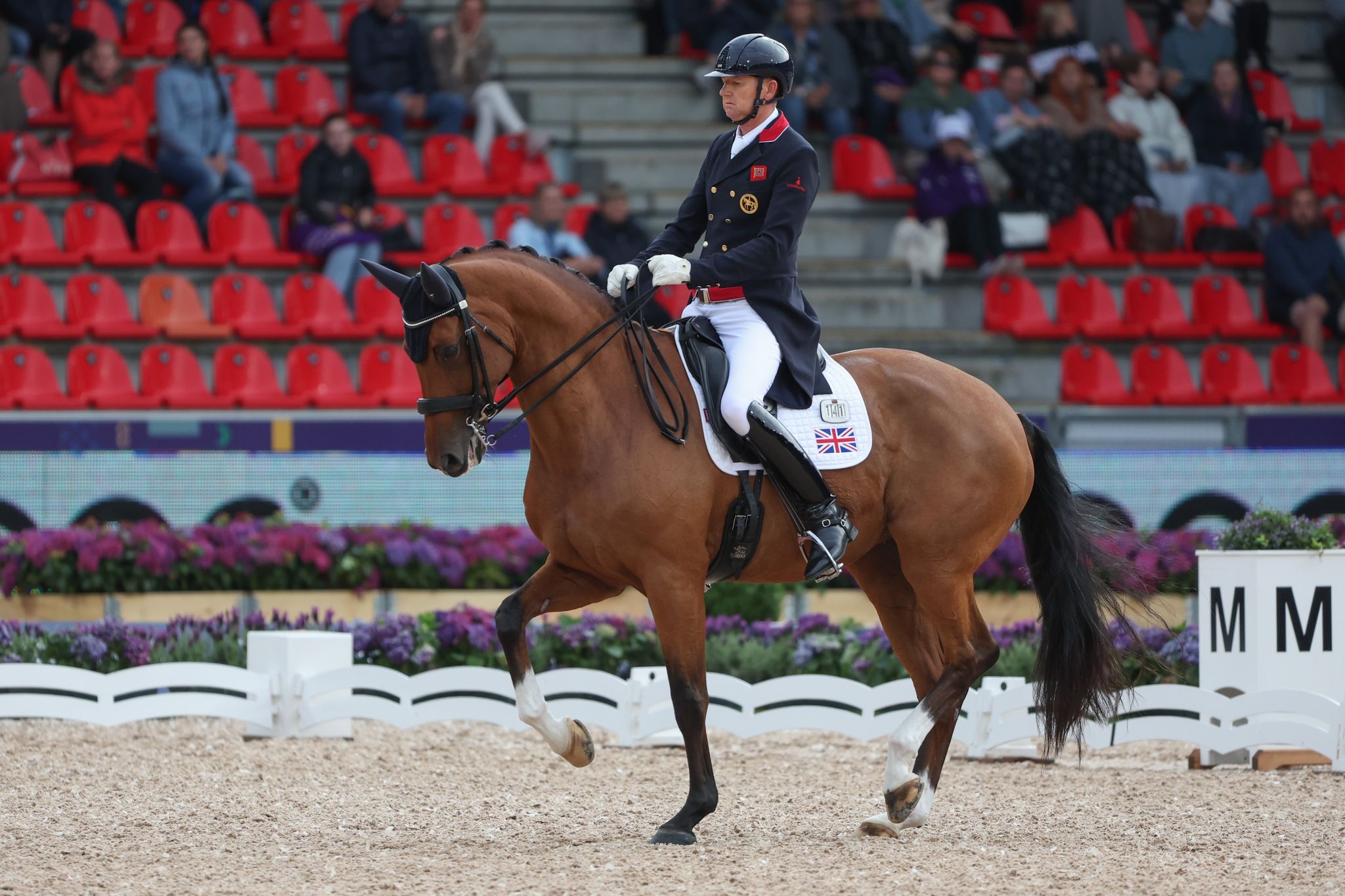 Dressur-WM: Ärger über verschwiegene Corona-Infektion