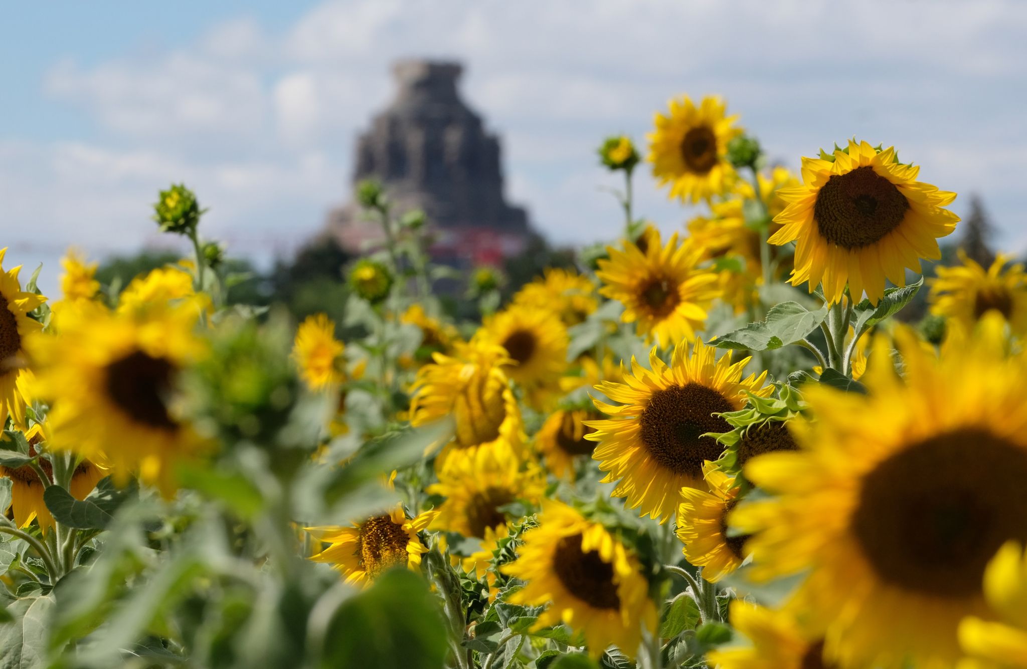 Steigende Temperaturen und kein Regen in Sicht