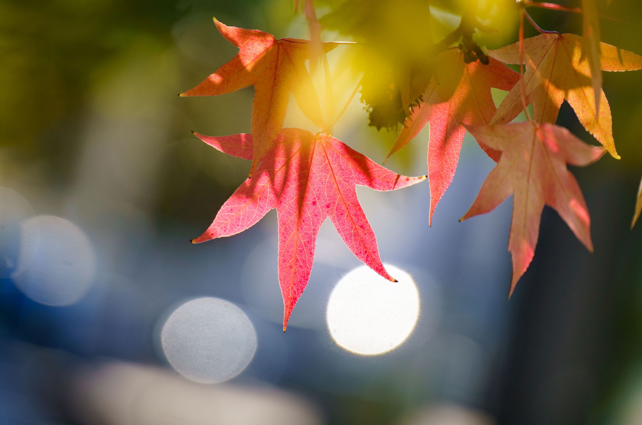 Der Herbst beginnt trocken, bevor ein Wetterumschwung naht