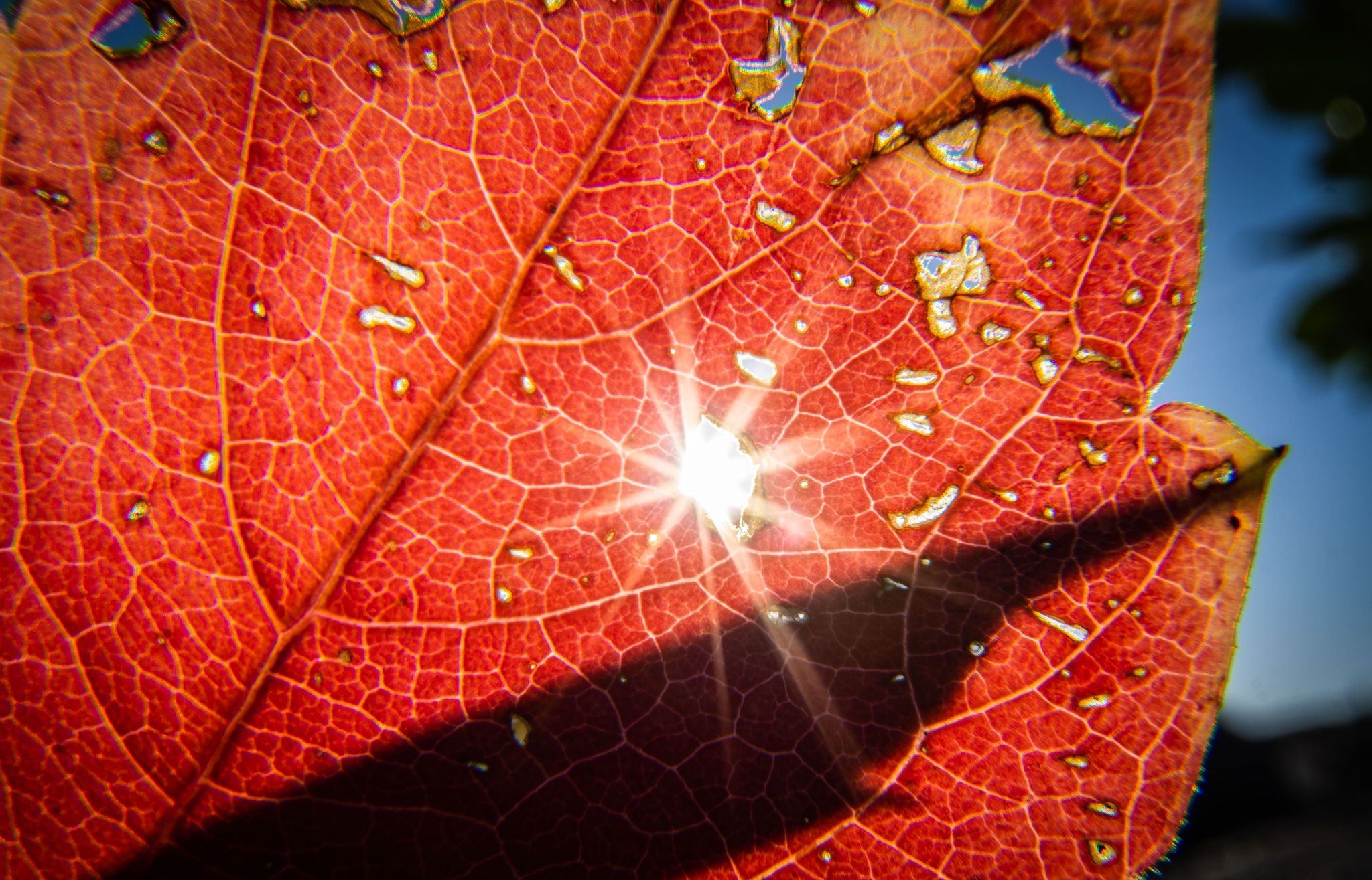 Wetterumschwung zum Herbstbeginn – viele Wolken und Regen