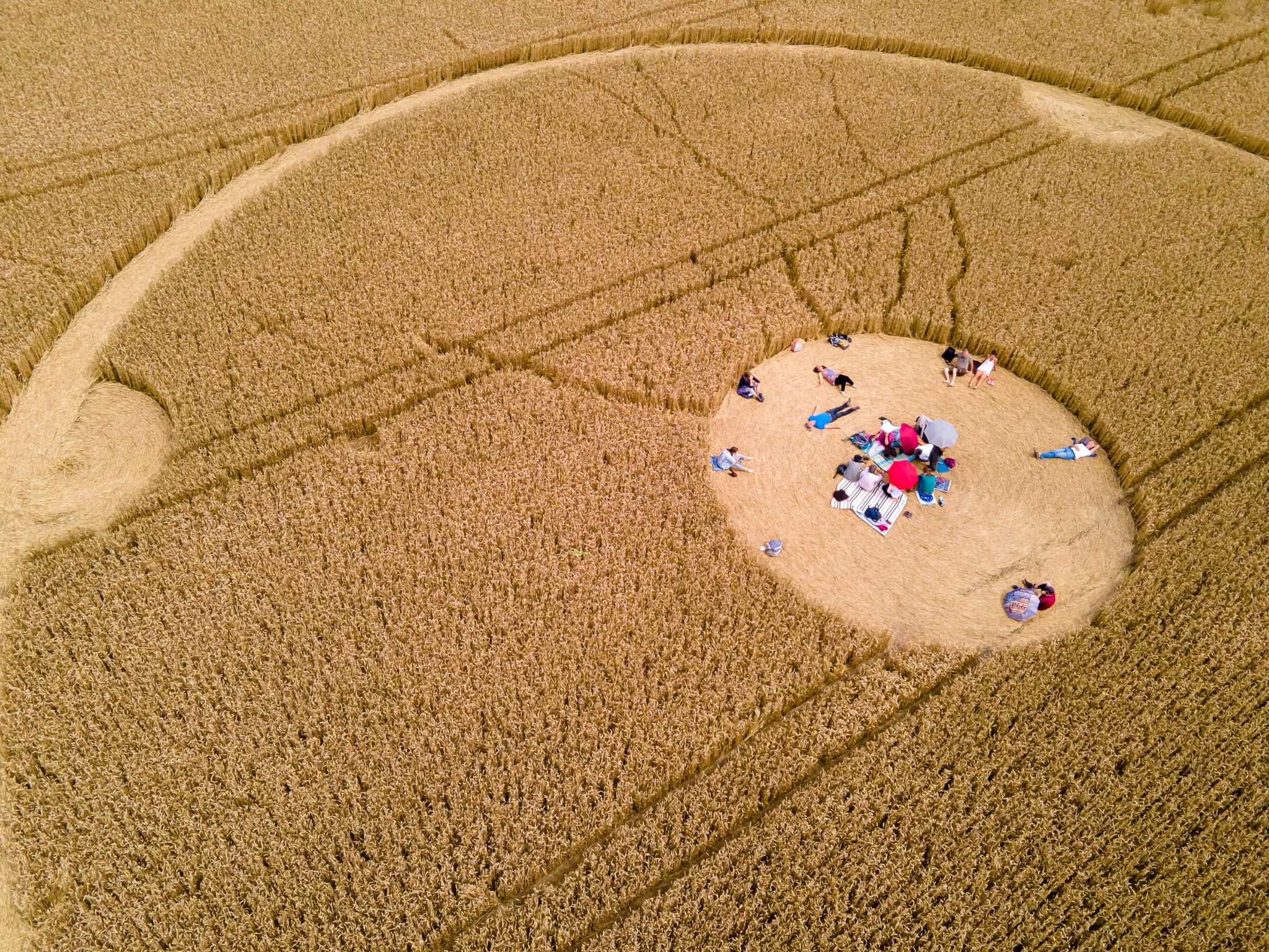 Illegale Kornkreise zerstören Getreide in hohem Wert