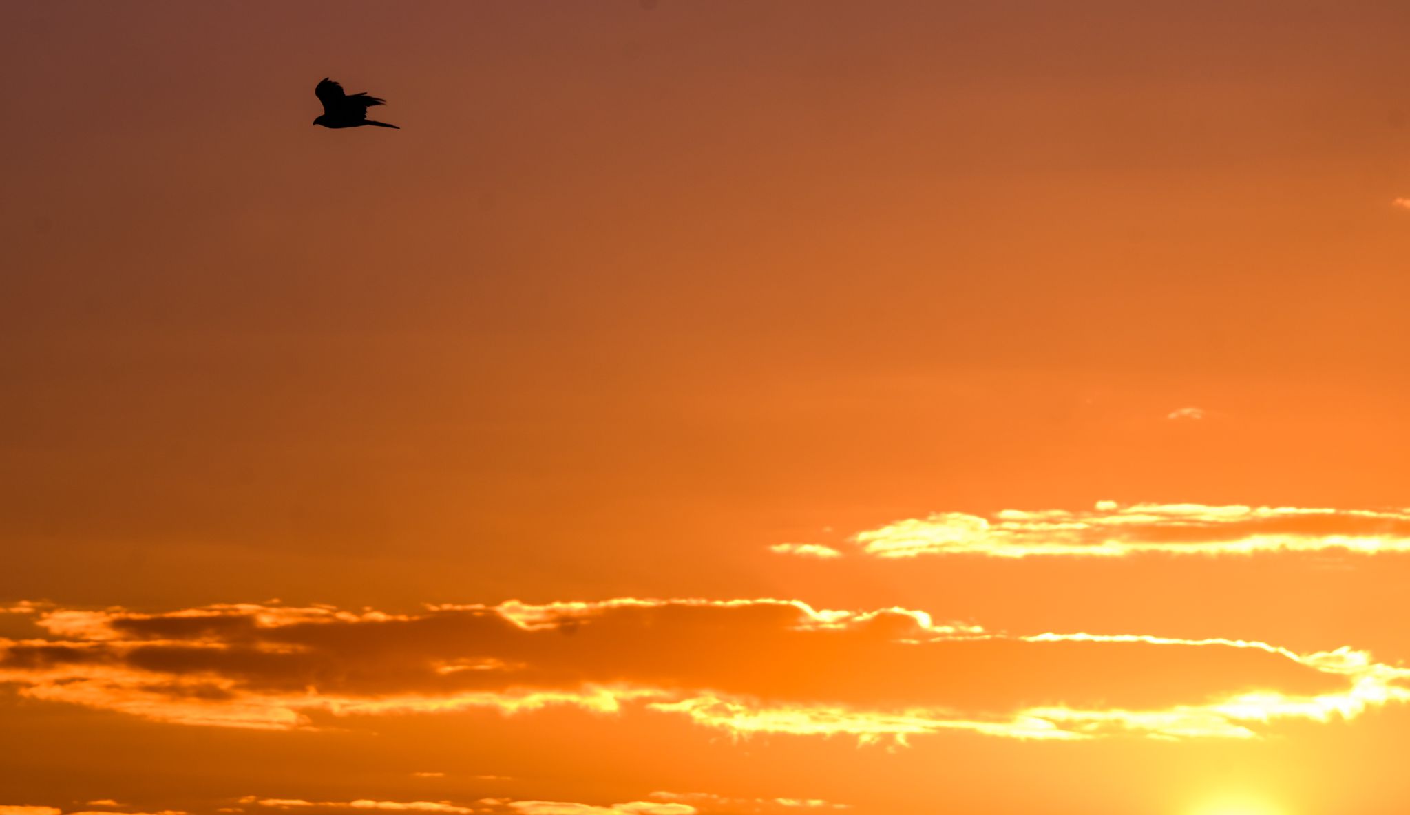 Herbst startet überwiegend sonnig und trocken