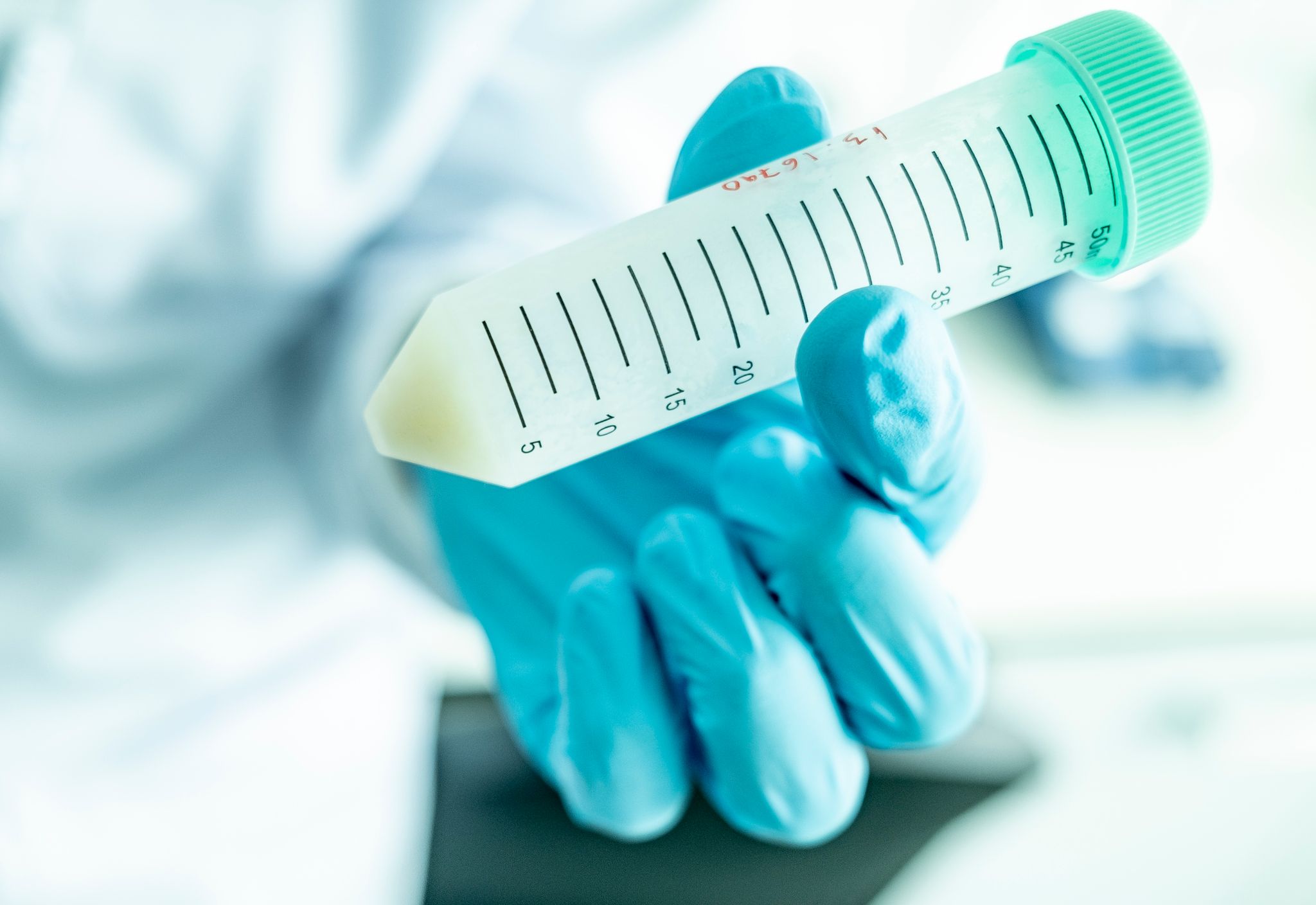 Forschende wollen Fischstäbchen aus Zellen herstellen