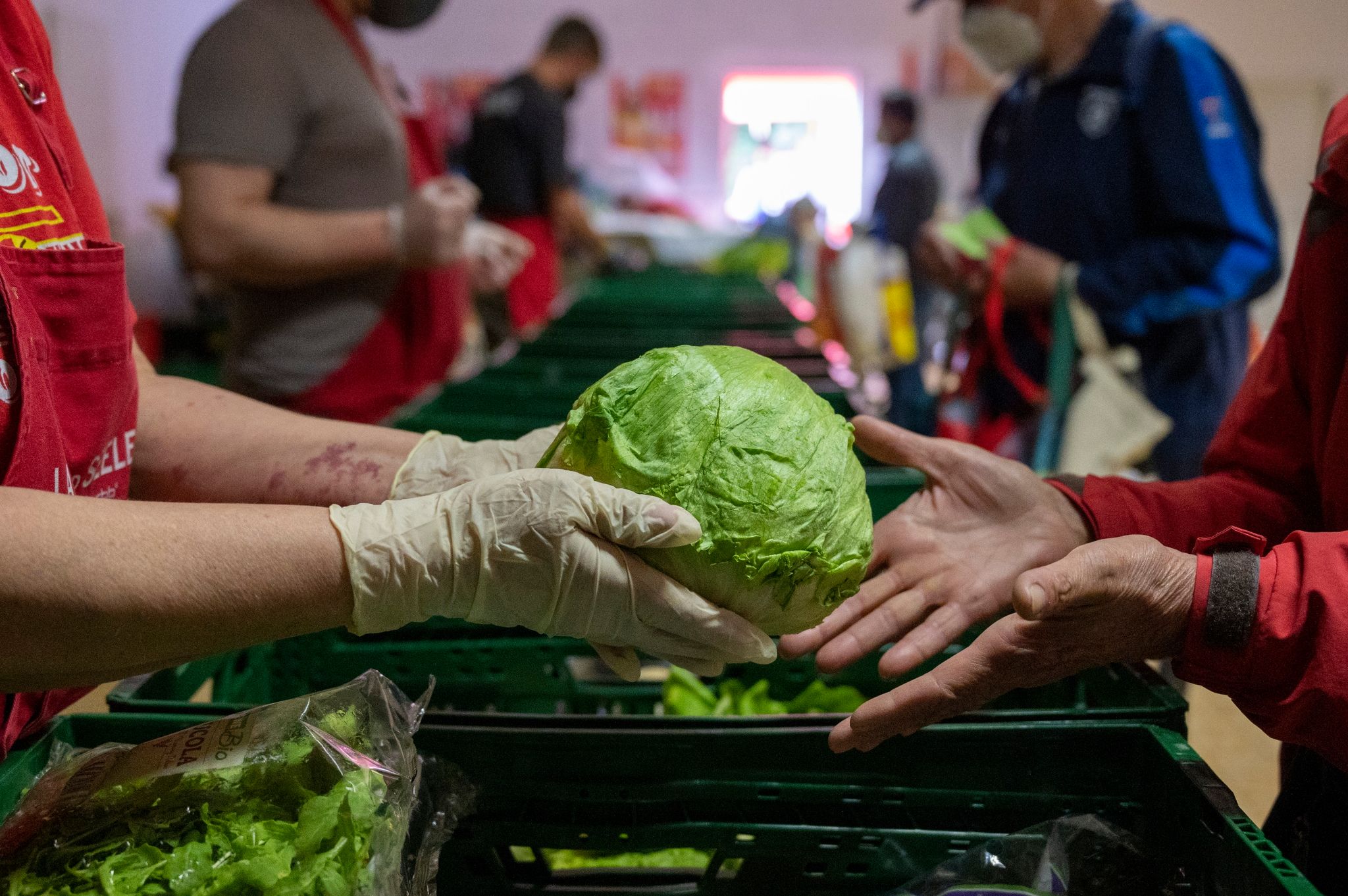 Armut in Deutschland: Tafeln versorgen immer mehr Menschen