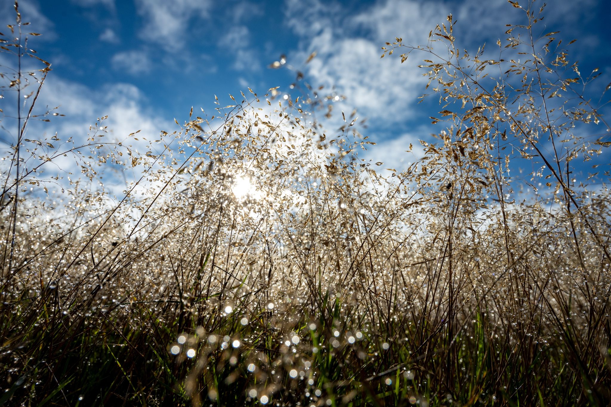 Erster Herbststurm des Jahres möglich