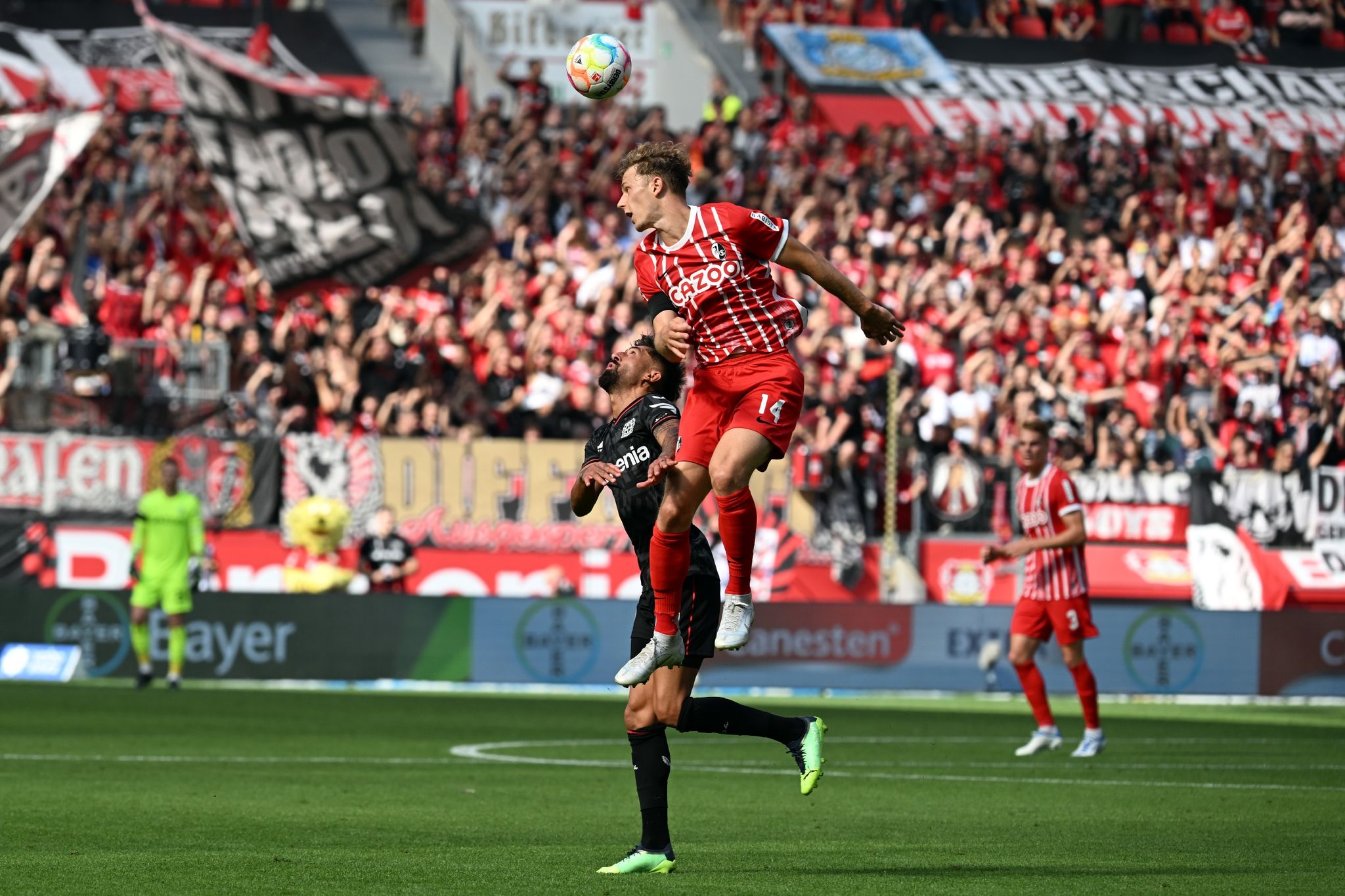 Seoane hat «volle Rückendeckung» – Streich ist Tabelle egal