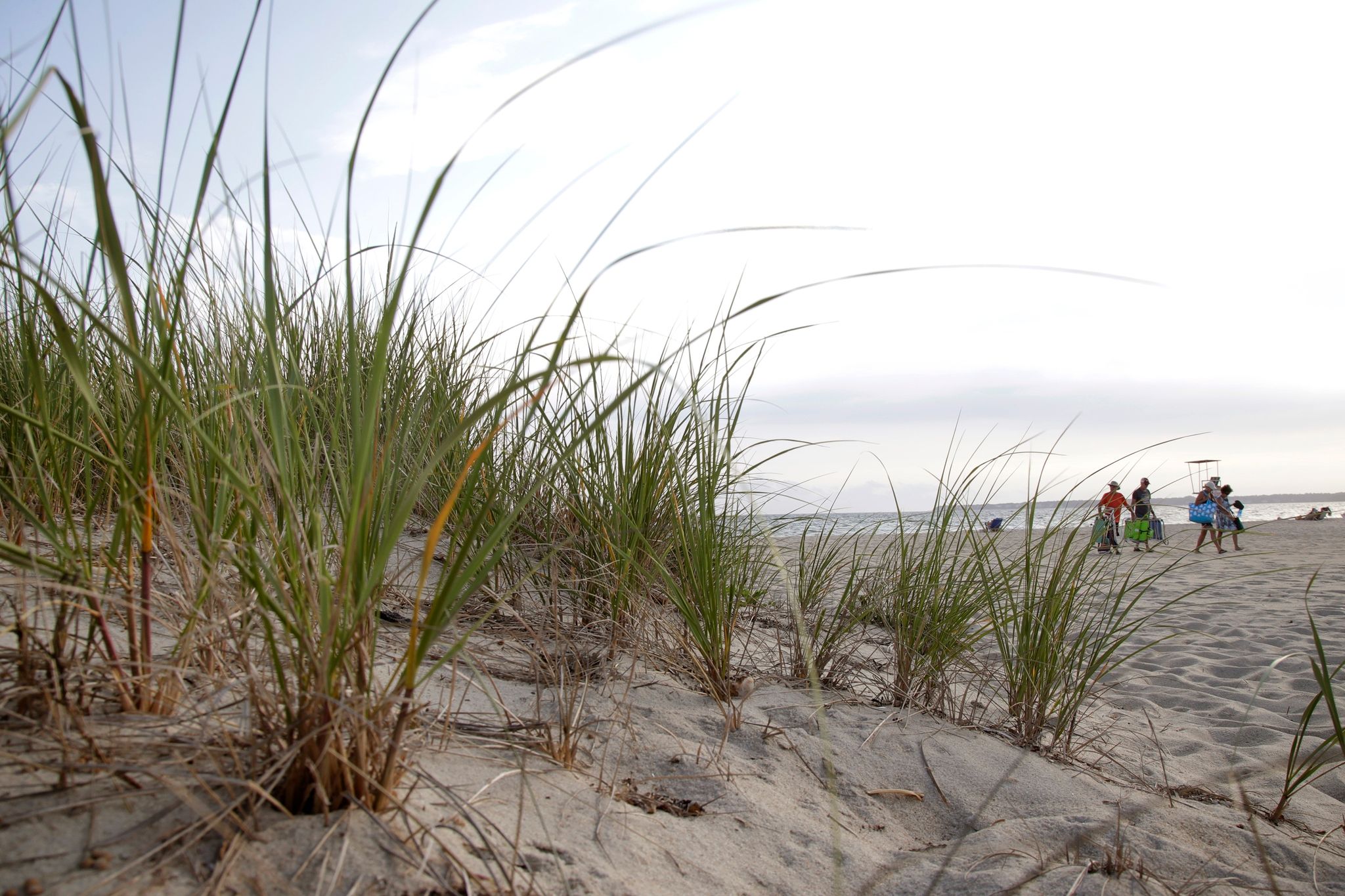 Streit in USA: Florida bringt Migranten auf noble Insel