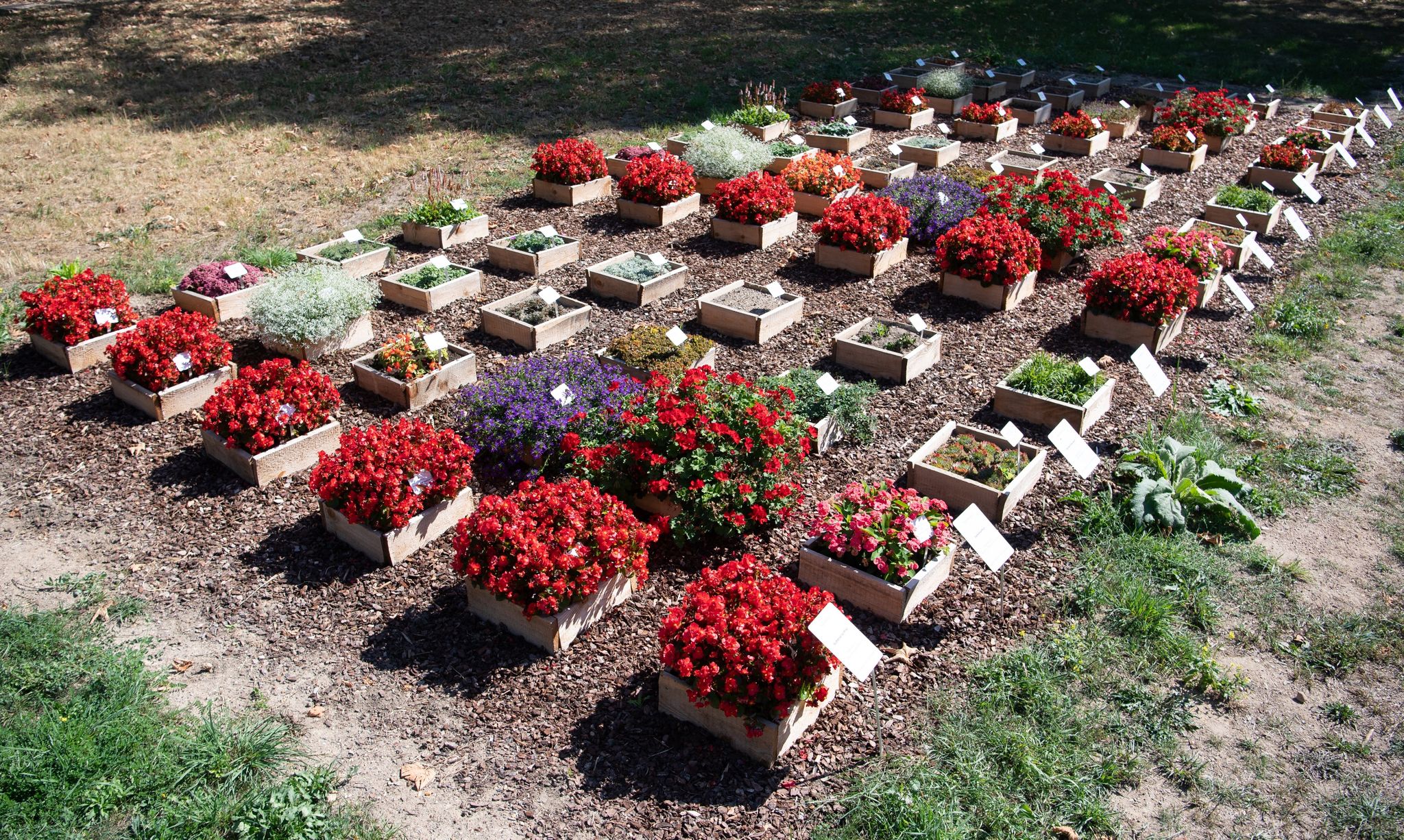 Klimawandel macht vor Friedhöfen nicht Halt