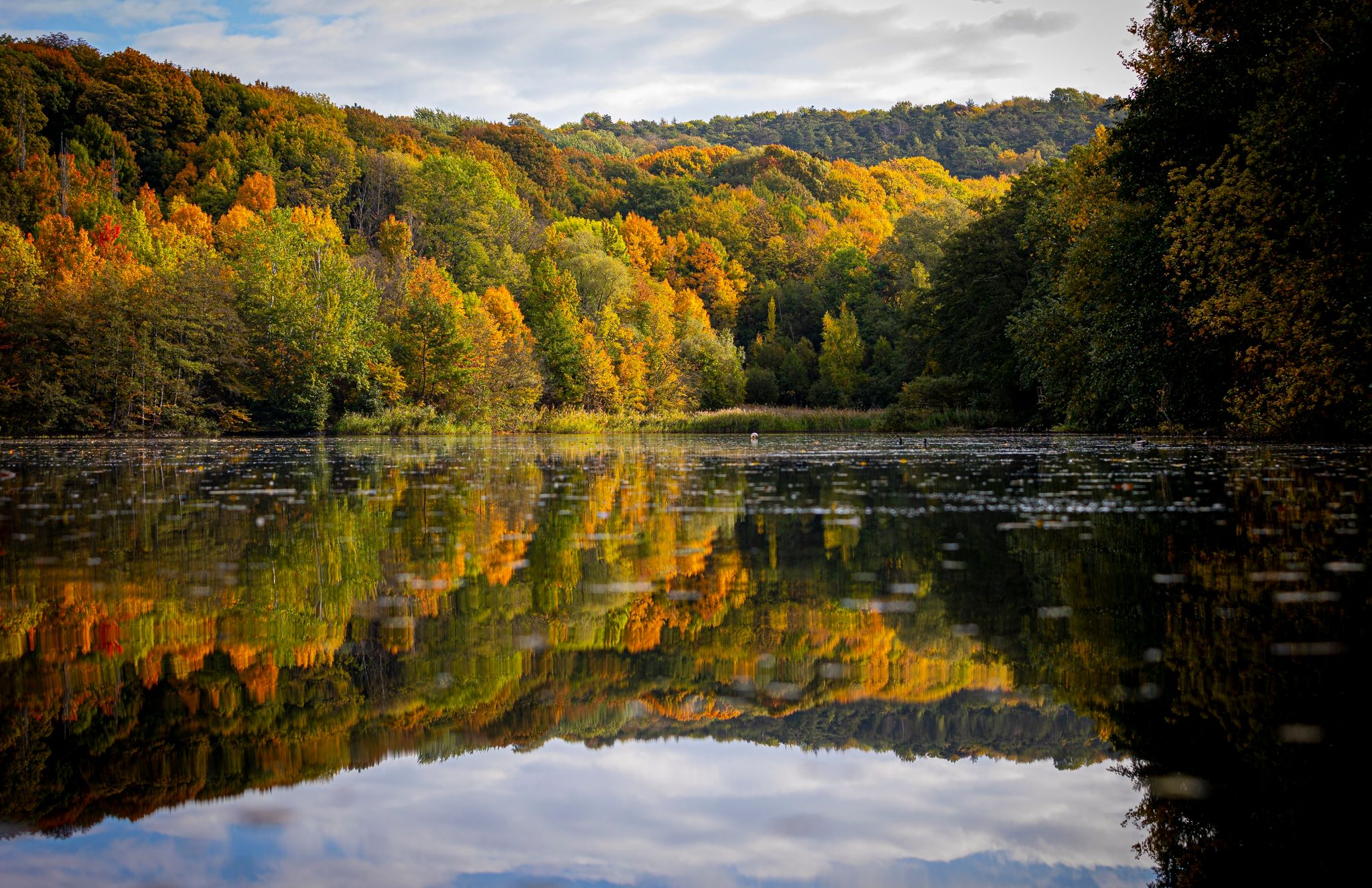 Bis 26 Grad – «Spätsommerfeeling» im Oktober
